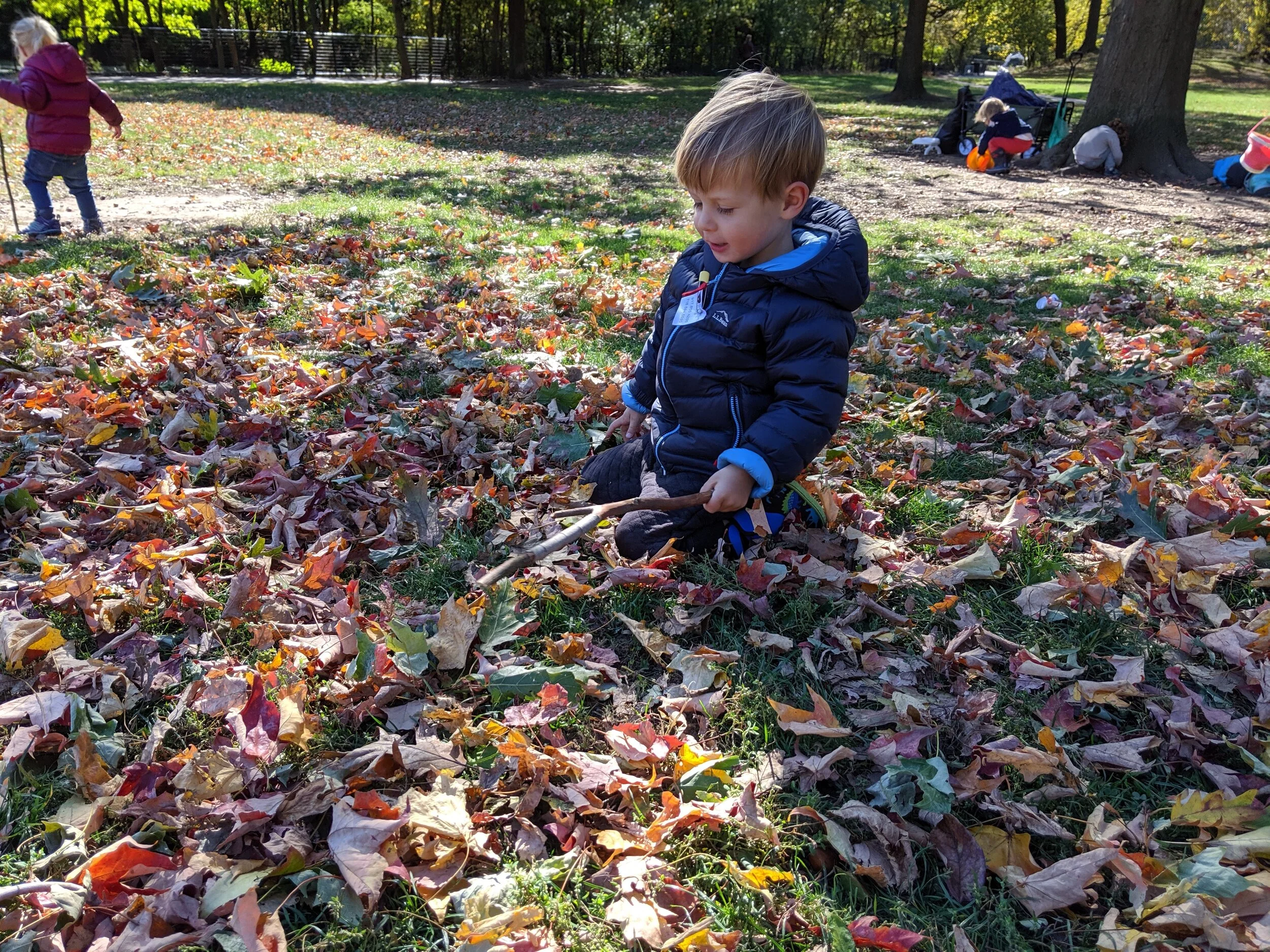 IMG_20191018_111136.jpg