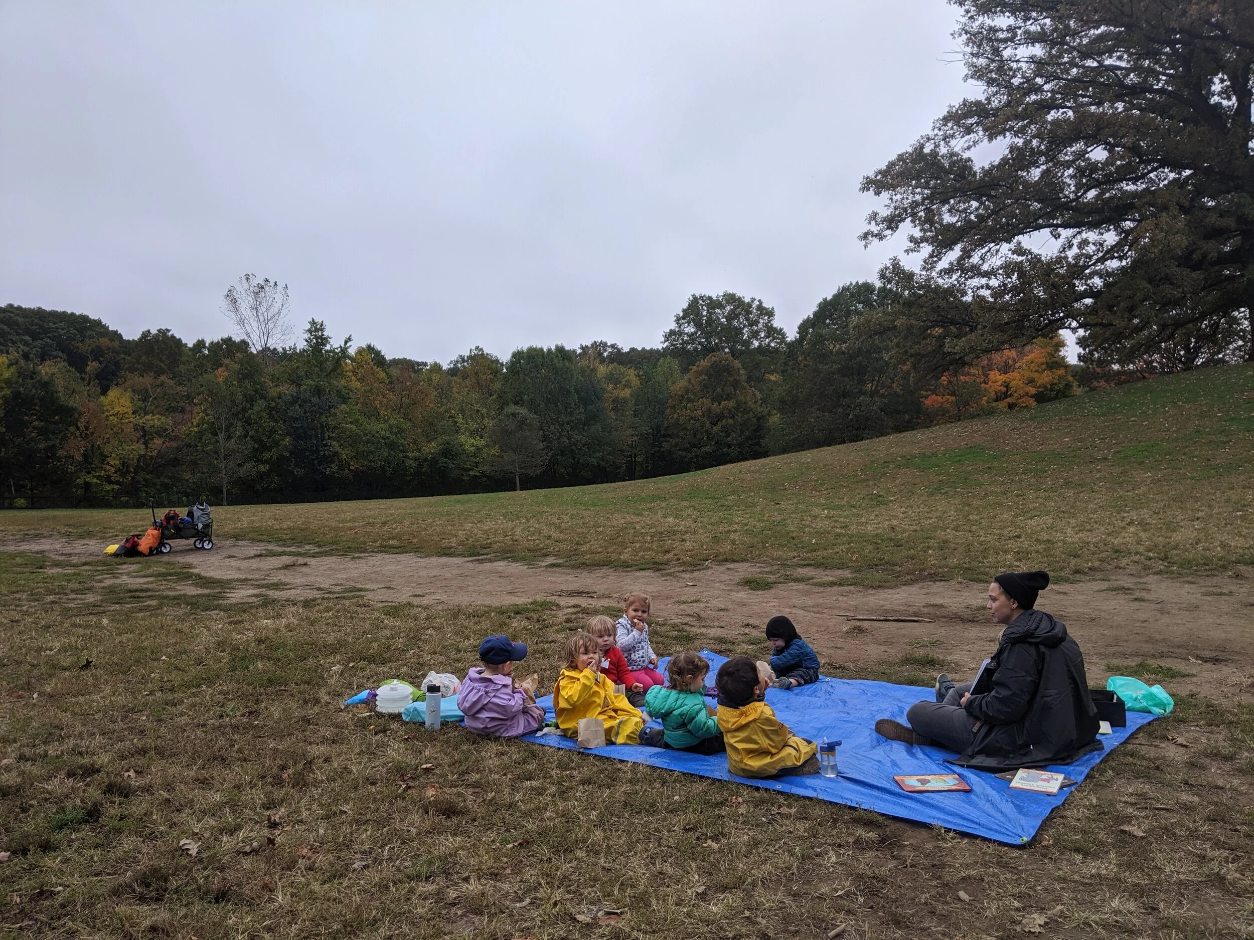 IMG_20191022_101735.jpg