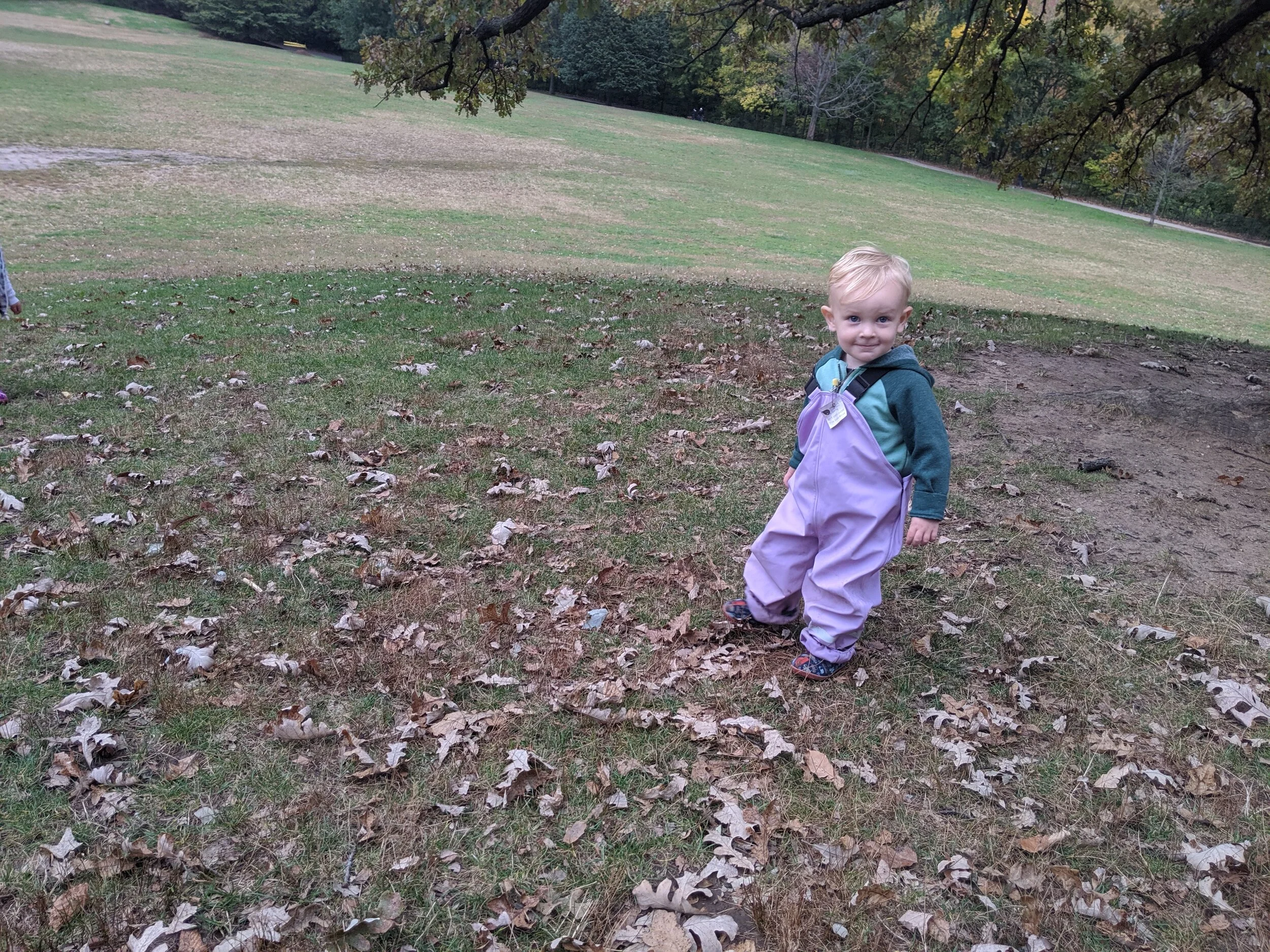 IMG_20191022_093557.jpg
