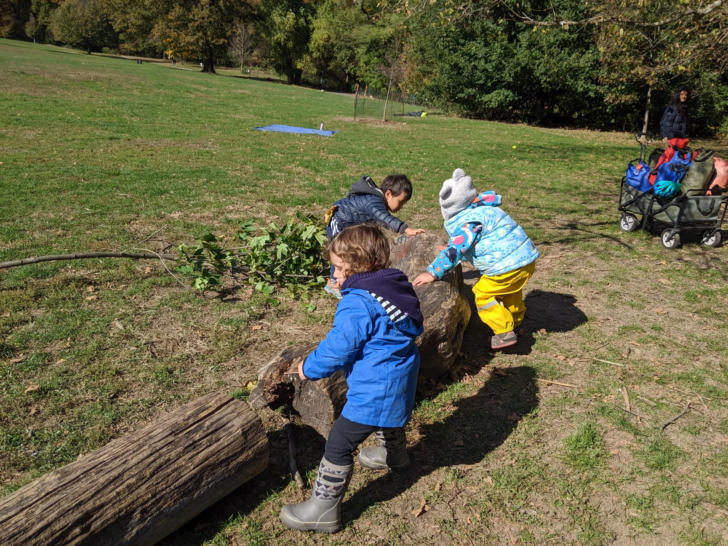 IMG_20191104_112205.jpg