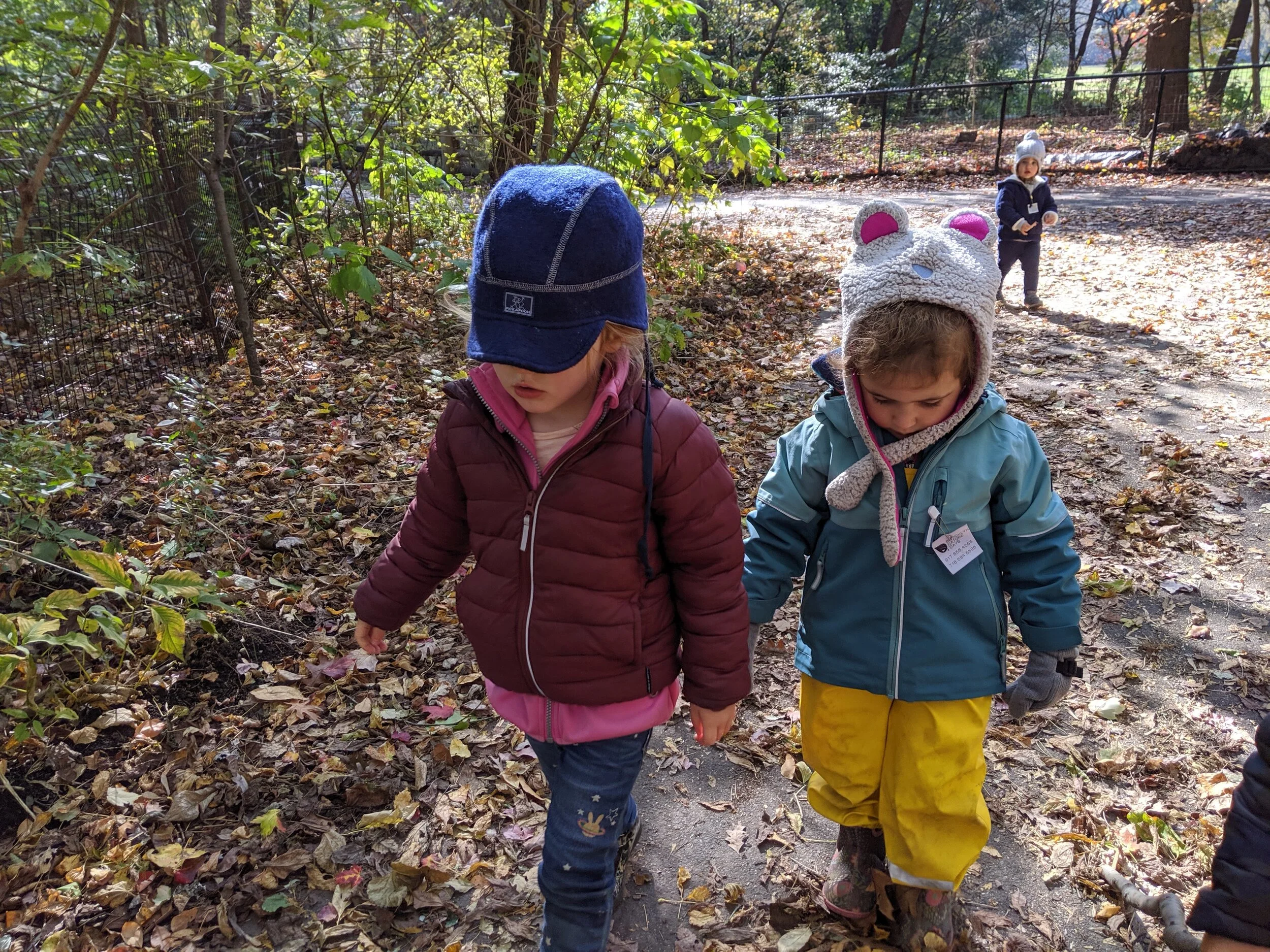 IMG_20191106_110949.jpg