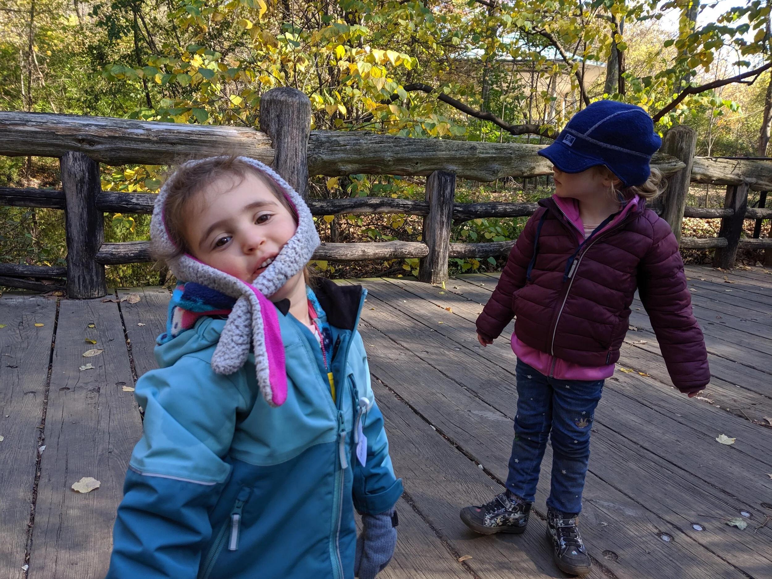 IMG_20191106_110745.jpg