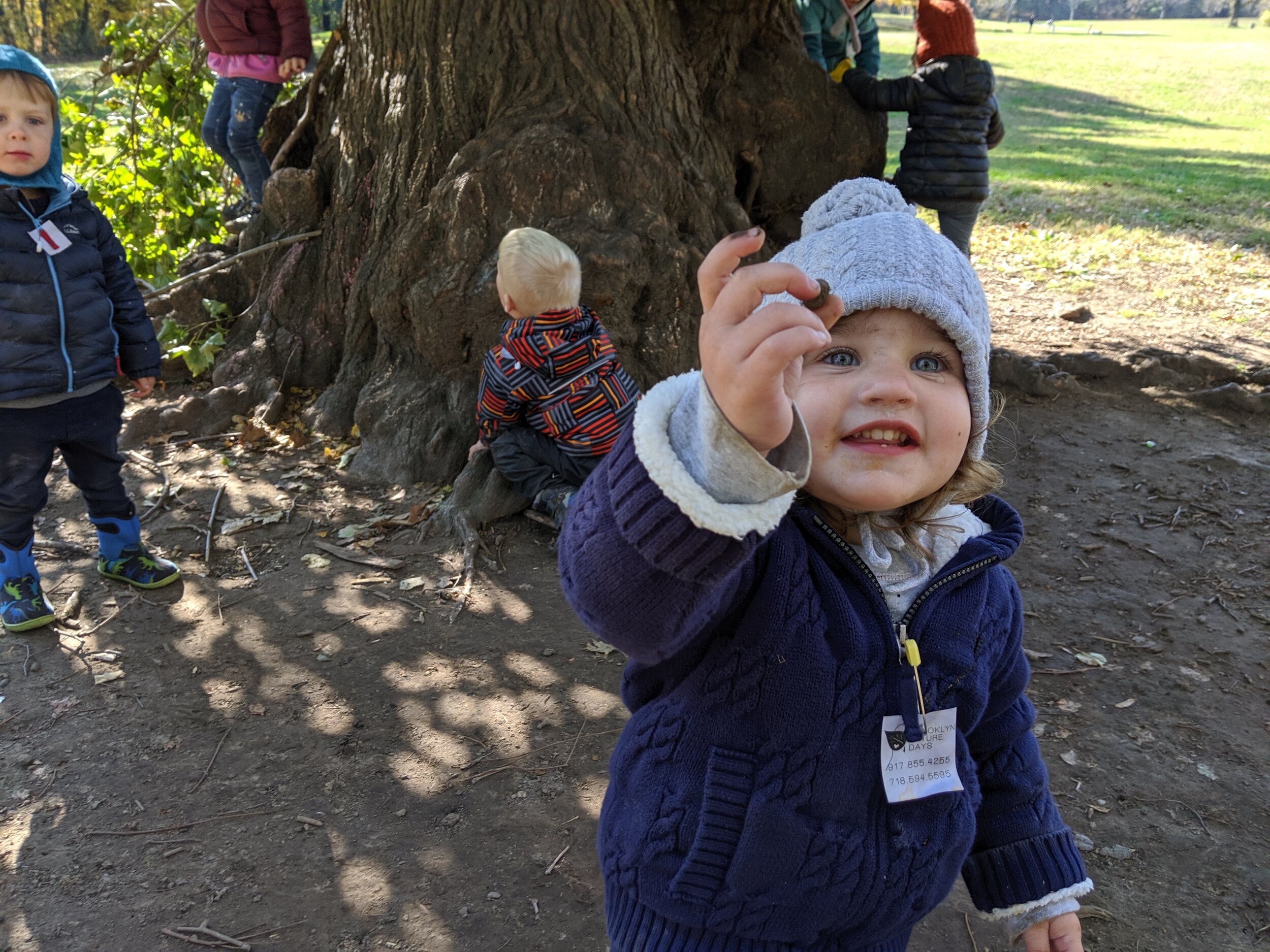IMG_20191106_105938.jpg