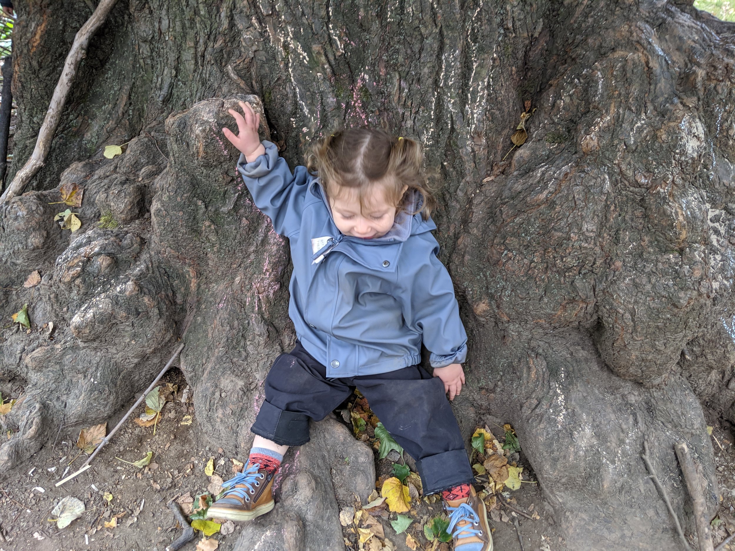 IMG_20191107_100814.jpg