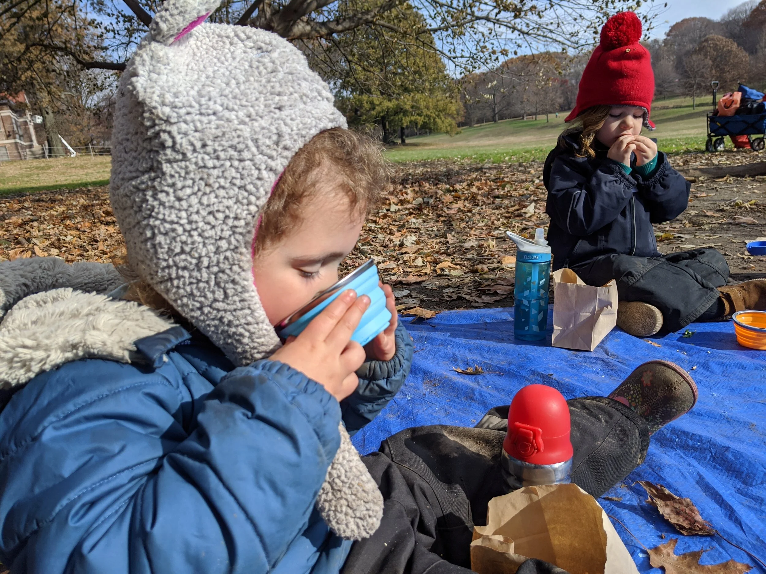 IMG_20191125_104845.jpg