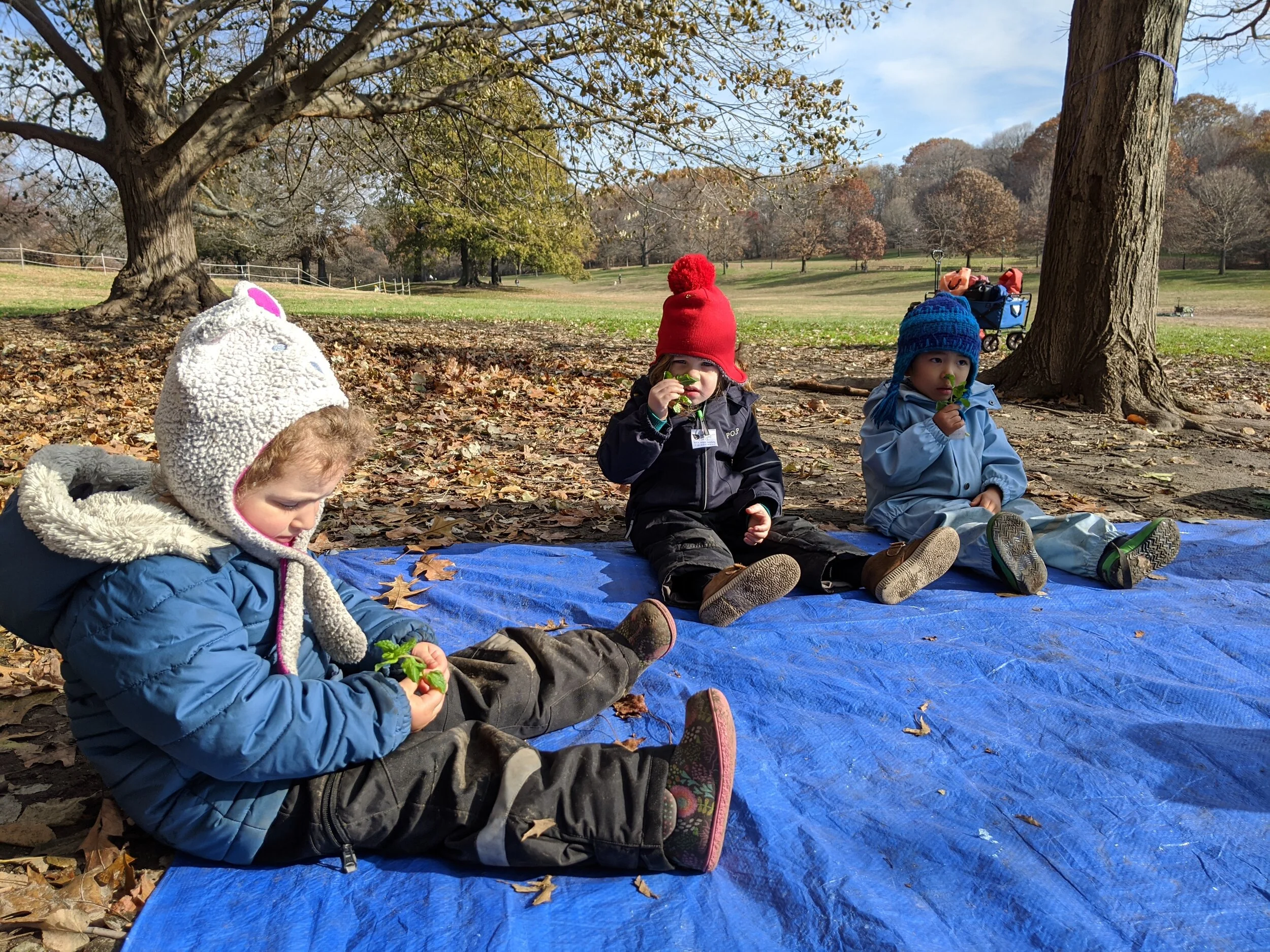 IMG_20191125_102945.jpg