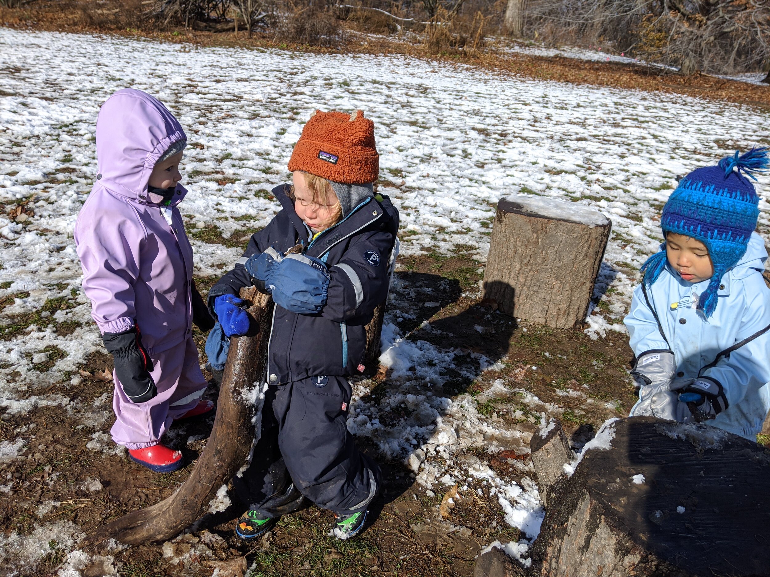 IMG_20191203_110328.jpg