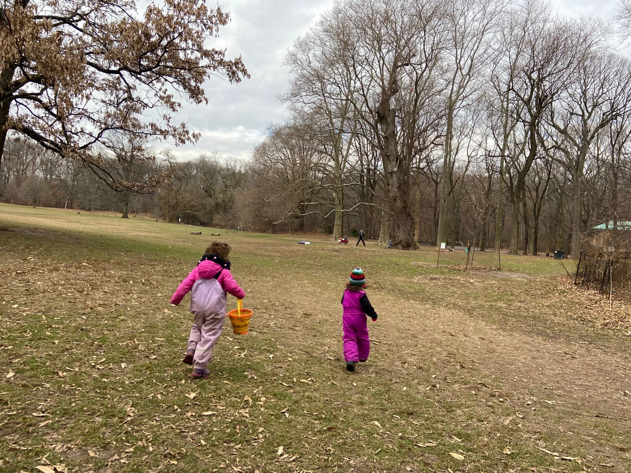 IMG_0864.jpg