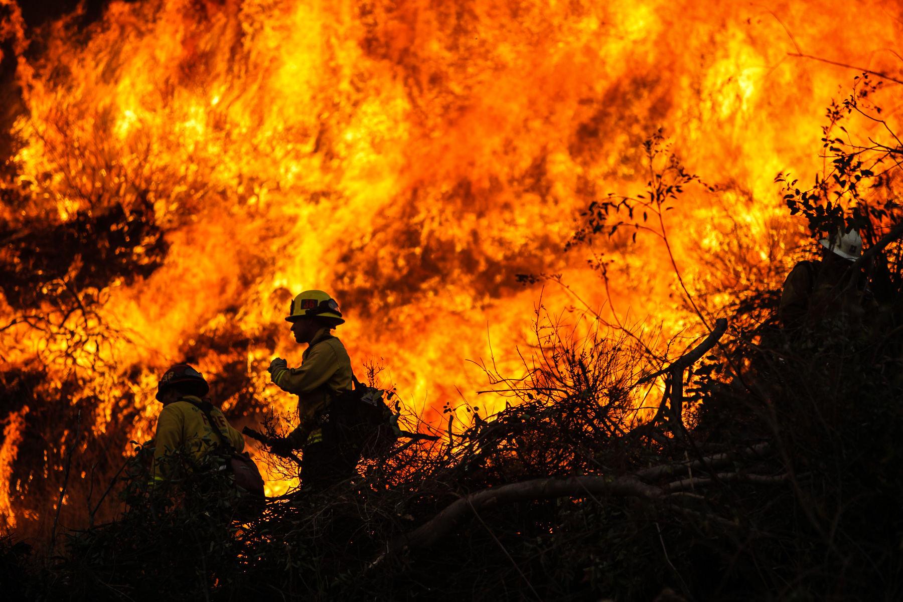 Elite hotshot firefighters work on foot to battle the wild fires raging in Big Tujunga Canyon, just outside Los Angeles, California.