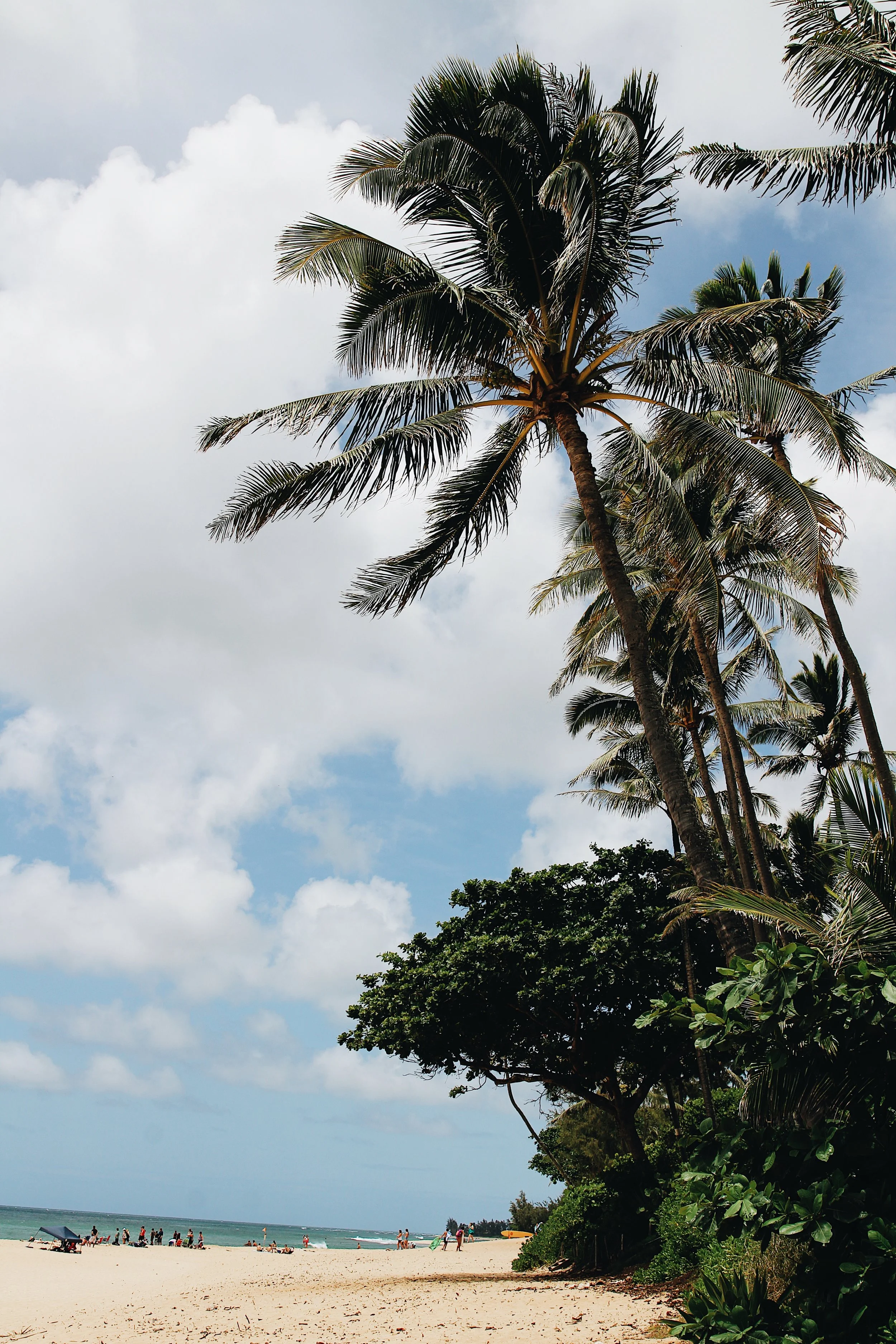 outside the volcom house at pipeline break