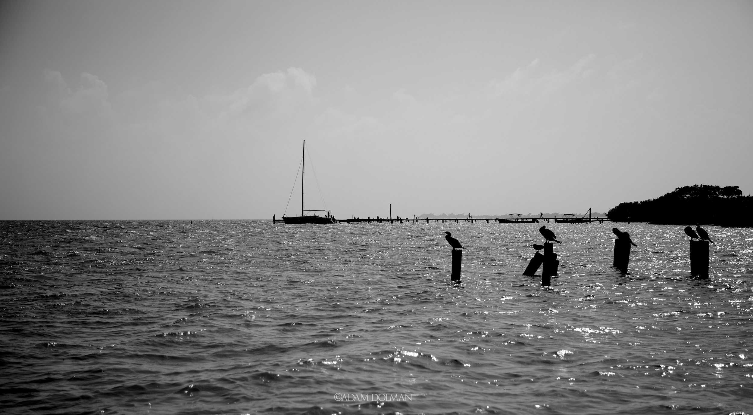 Belize Website-5.jpg