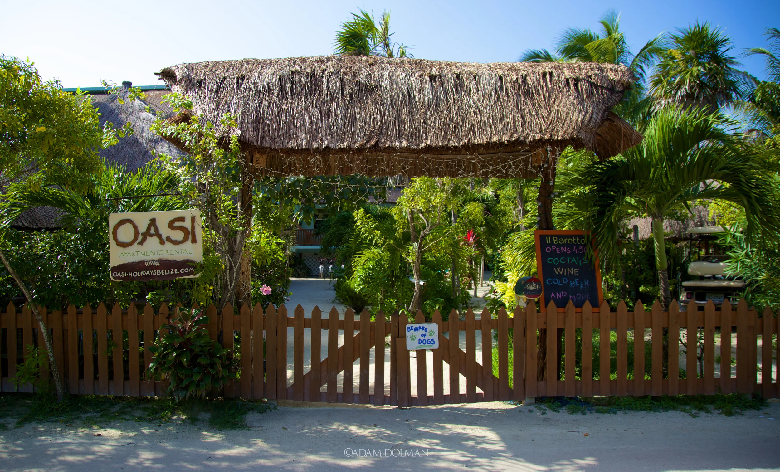 Belize Website-9.jpg