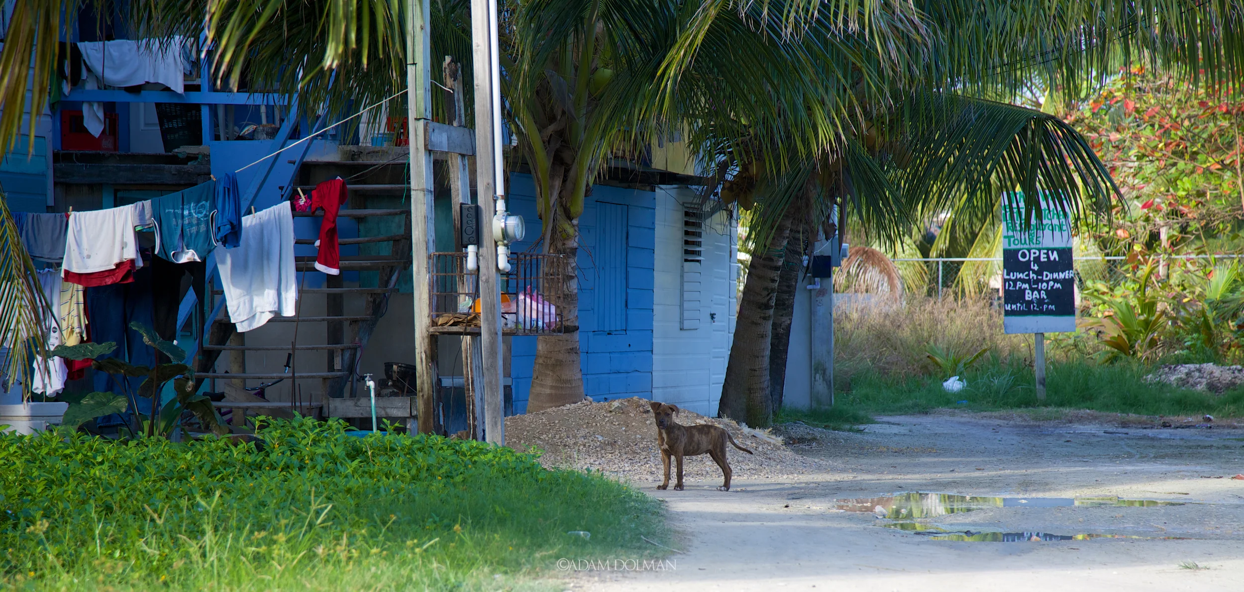 Belize Website-14.jpg