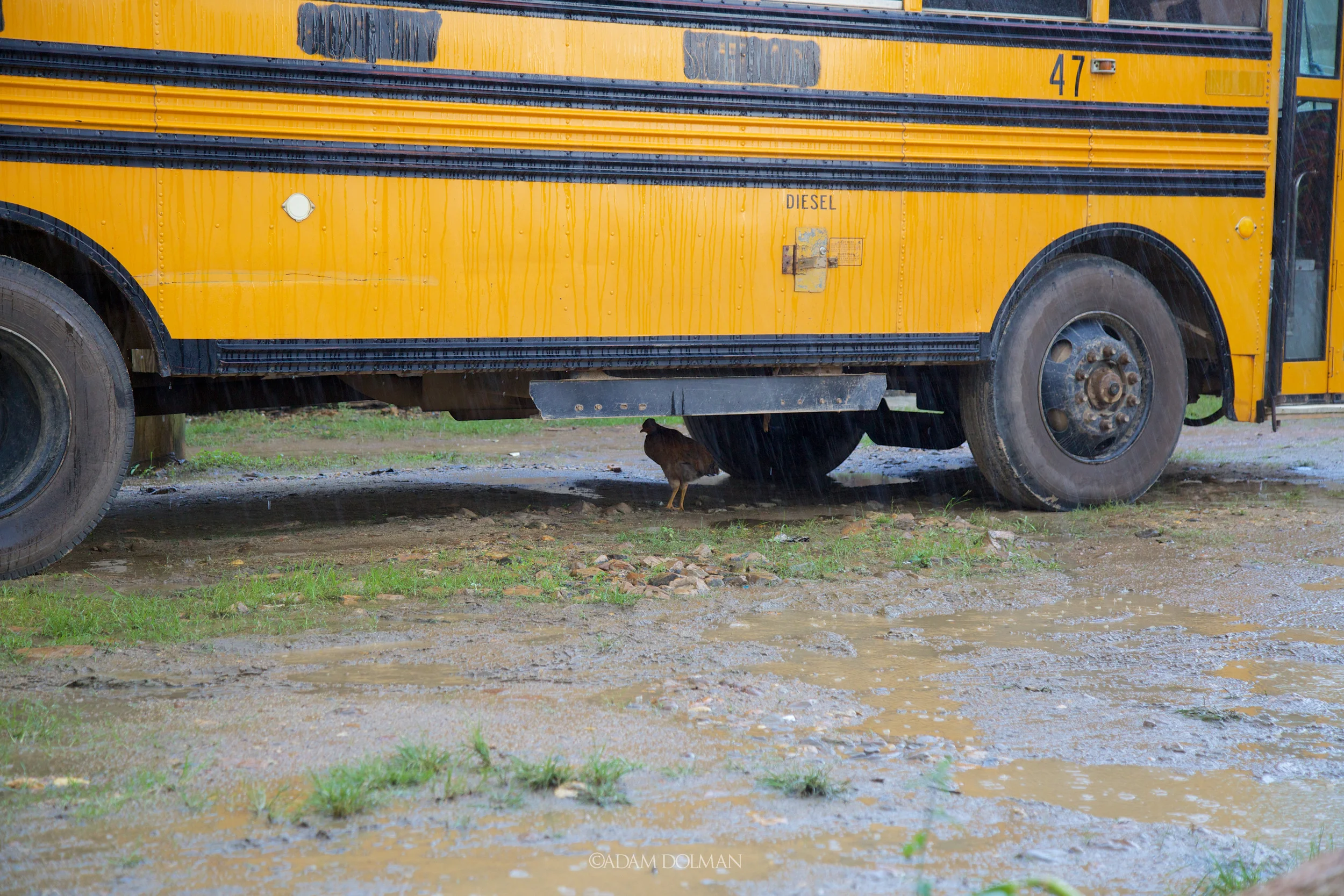 Belize Website-19.jpg