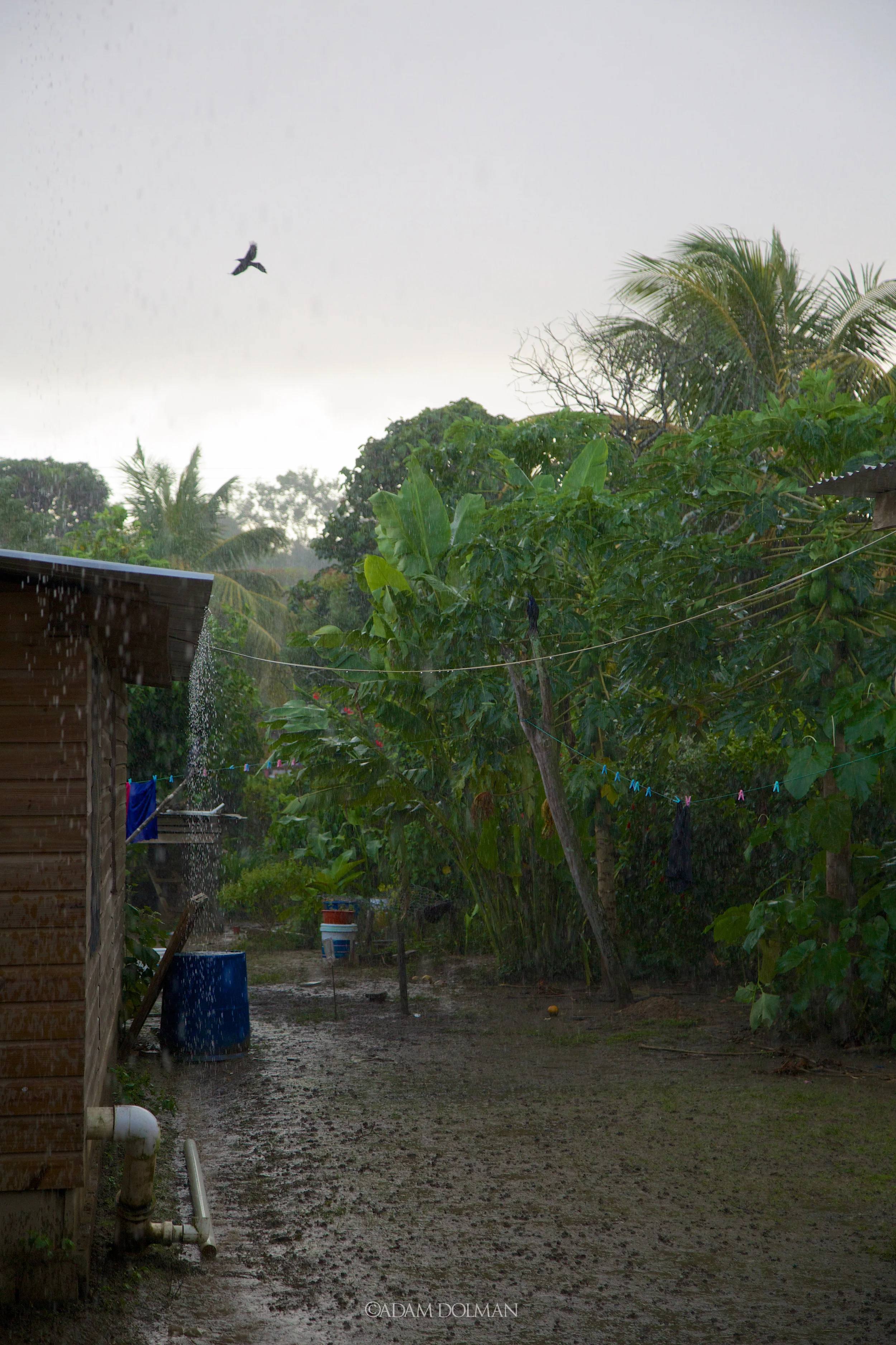 Belize Website-18.jpg