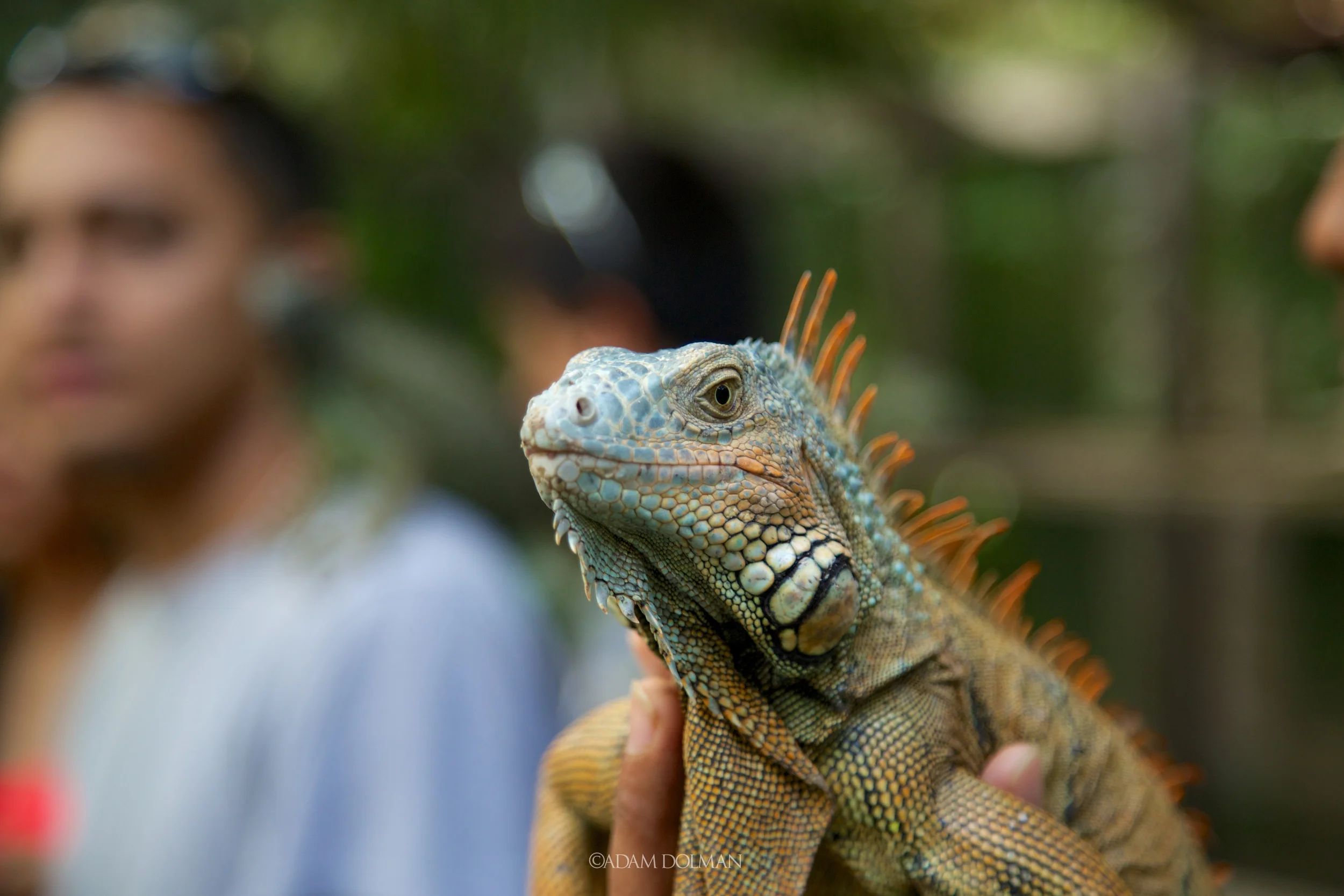 Belize Website-29.jpg