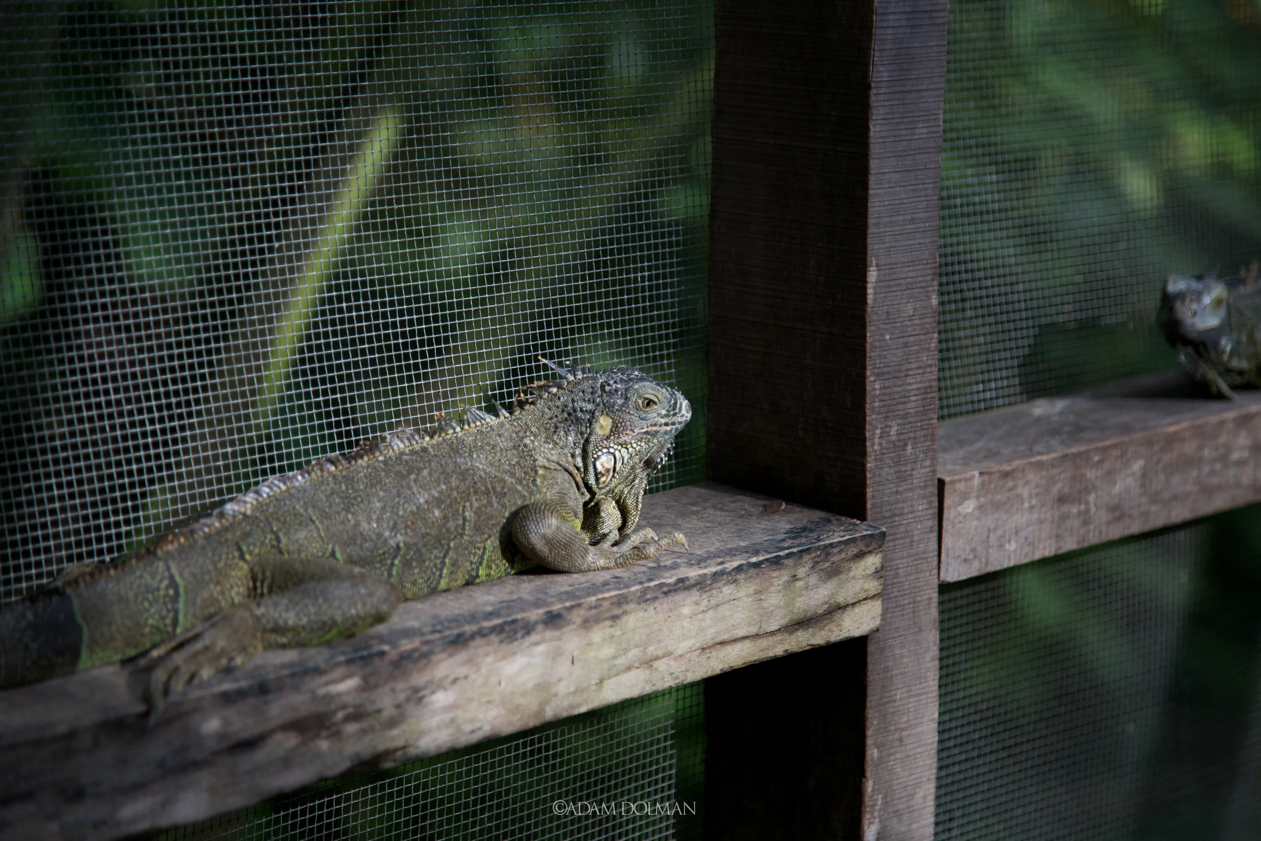 Belize Website-28.jpg