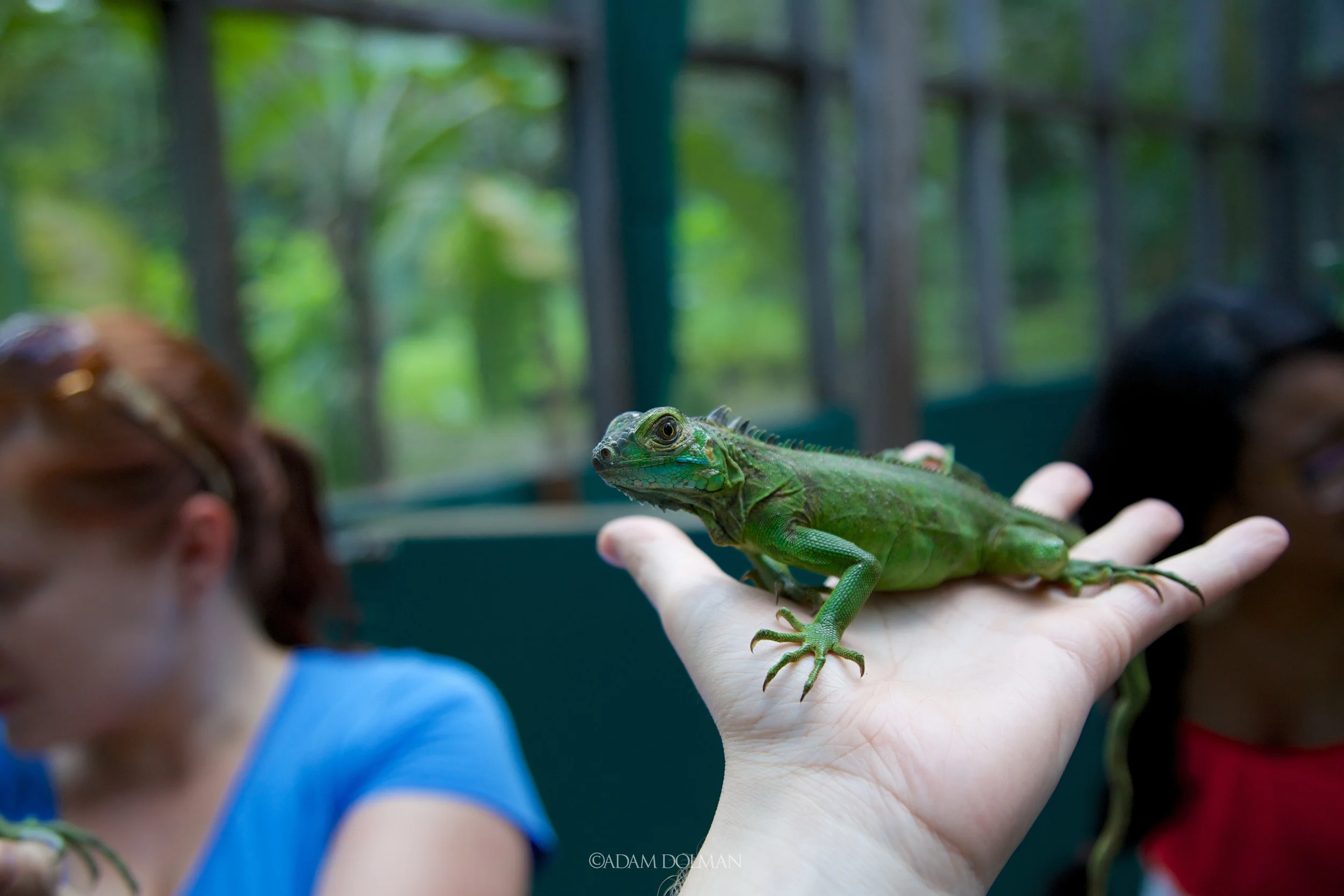 Belize Website-30.jpg