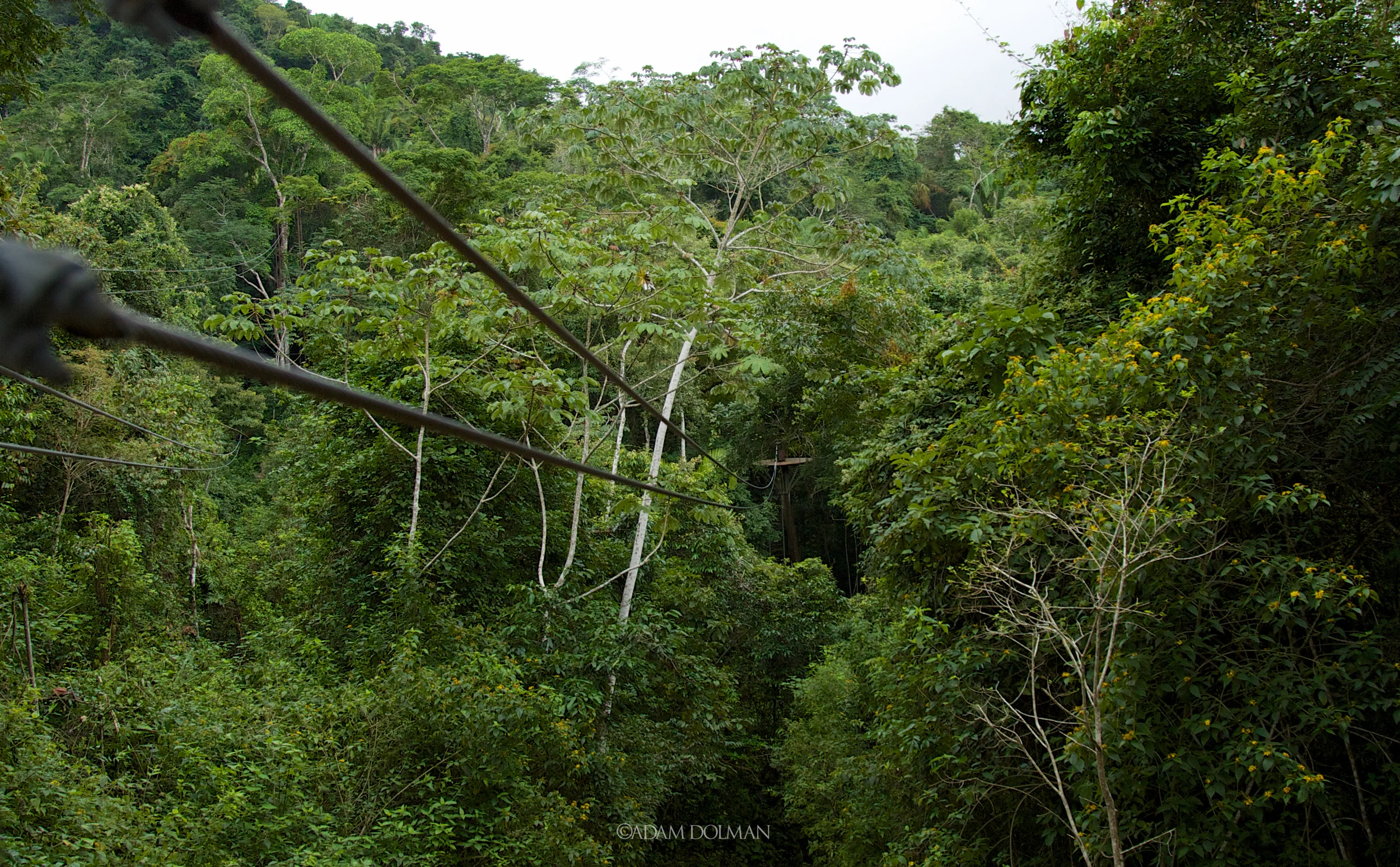 Belize Website-31.jpg