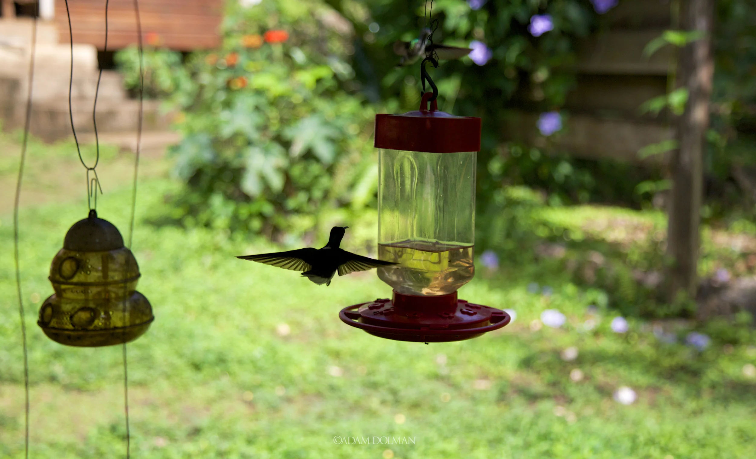 Belize Website-34.jpg