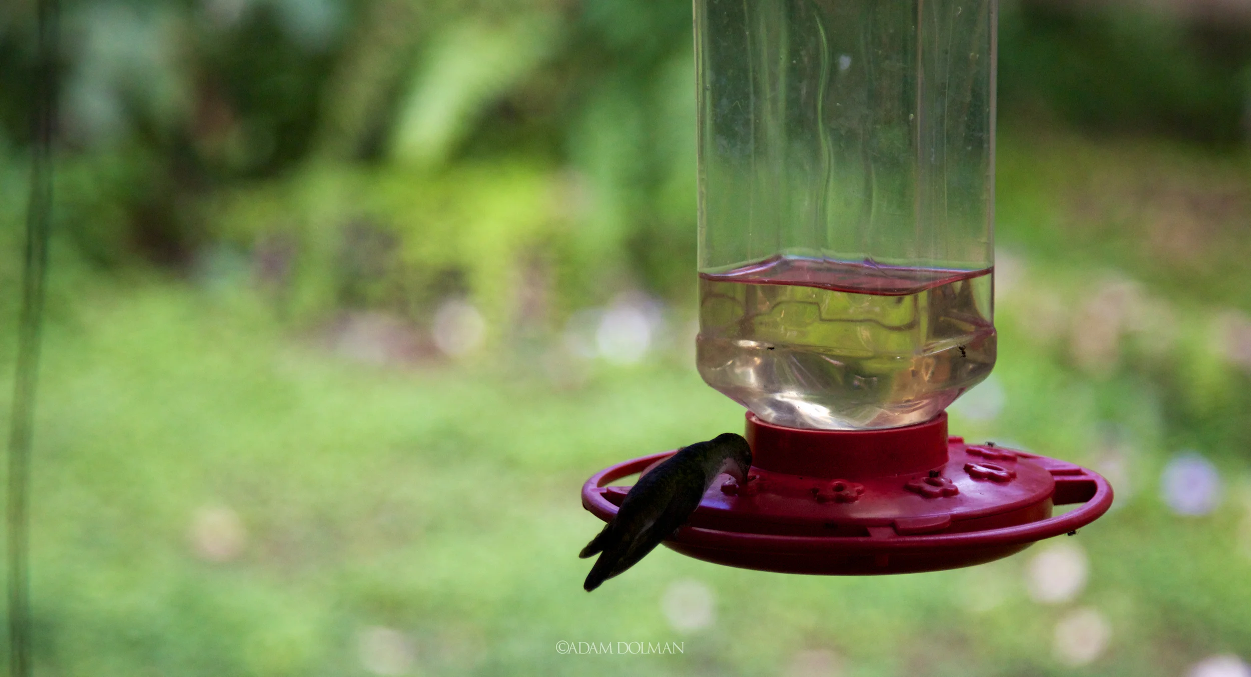 Belize Website-35.jpg