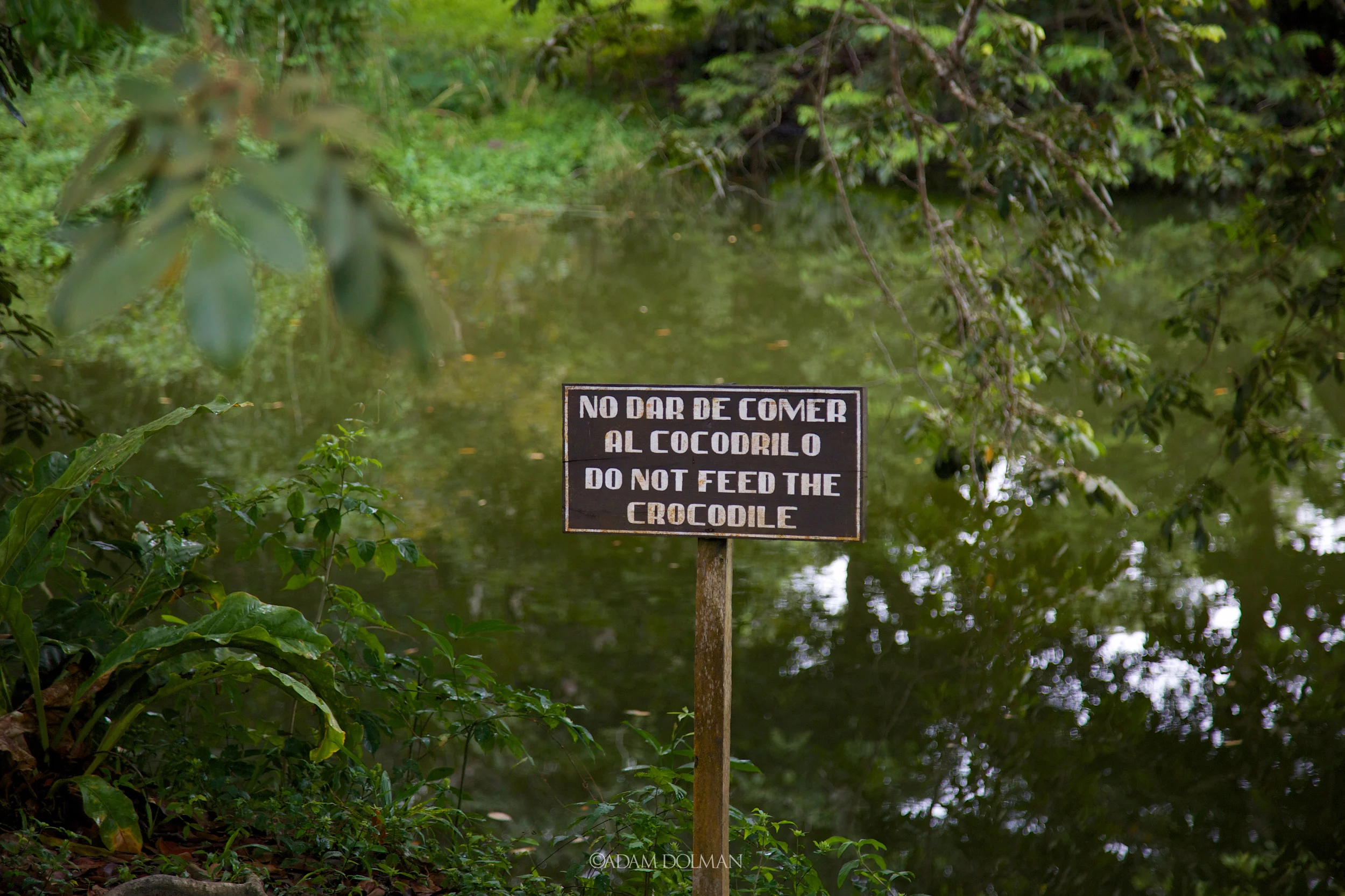 Belize Website-36.jpg