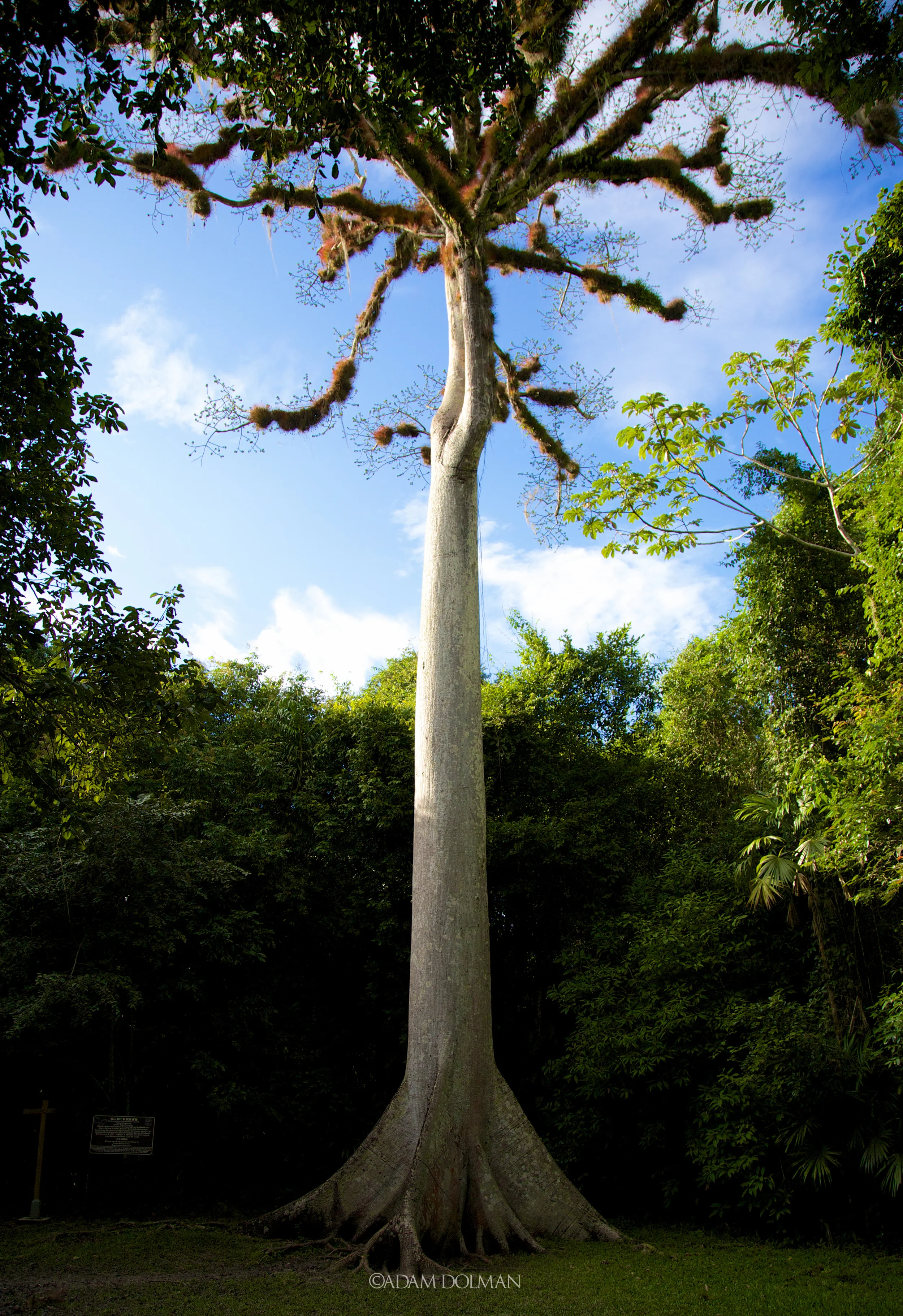 Belize Website-37.jpg