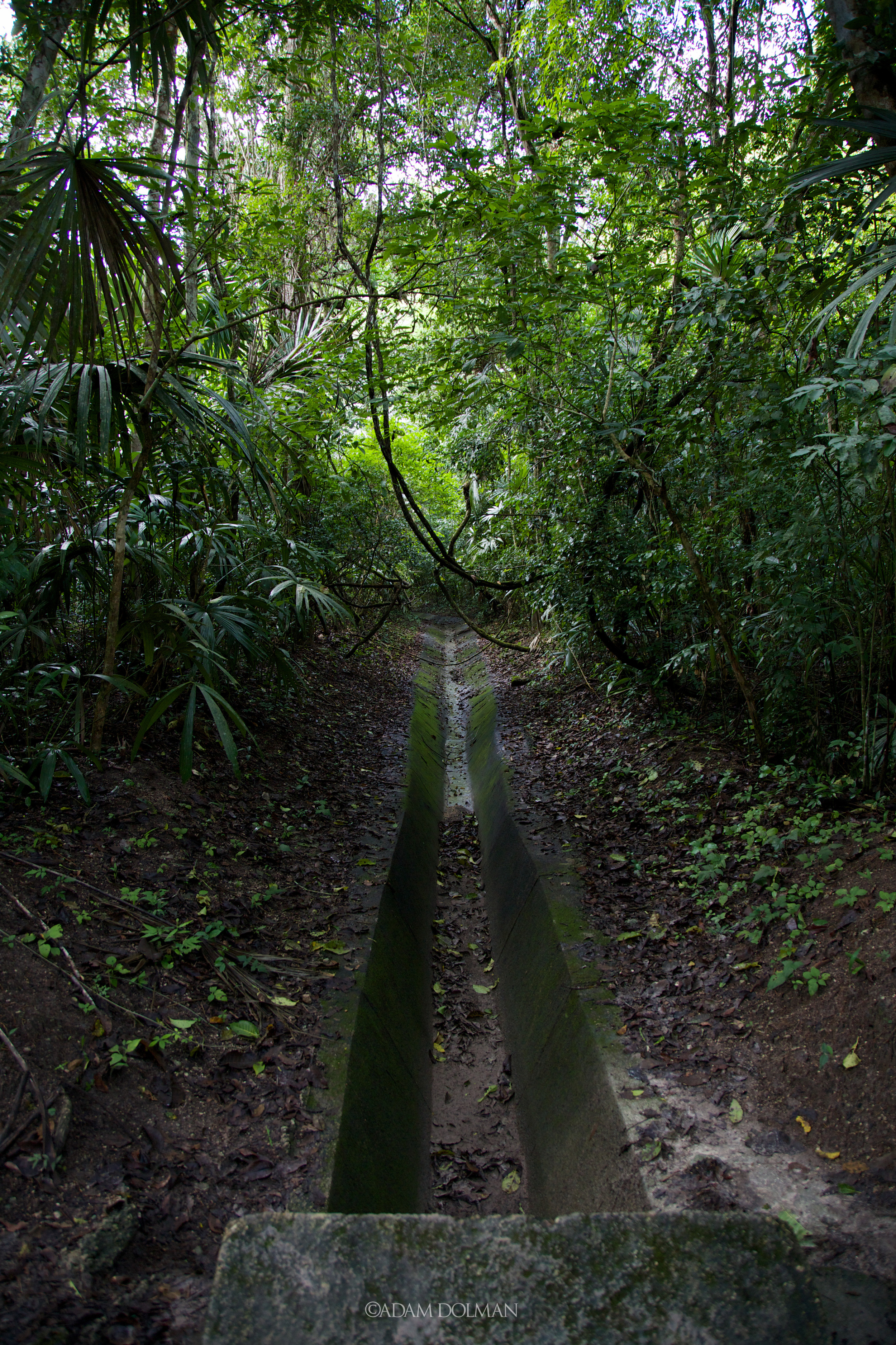 Belize Website-38.jpg