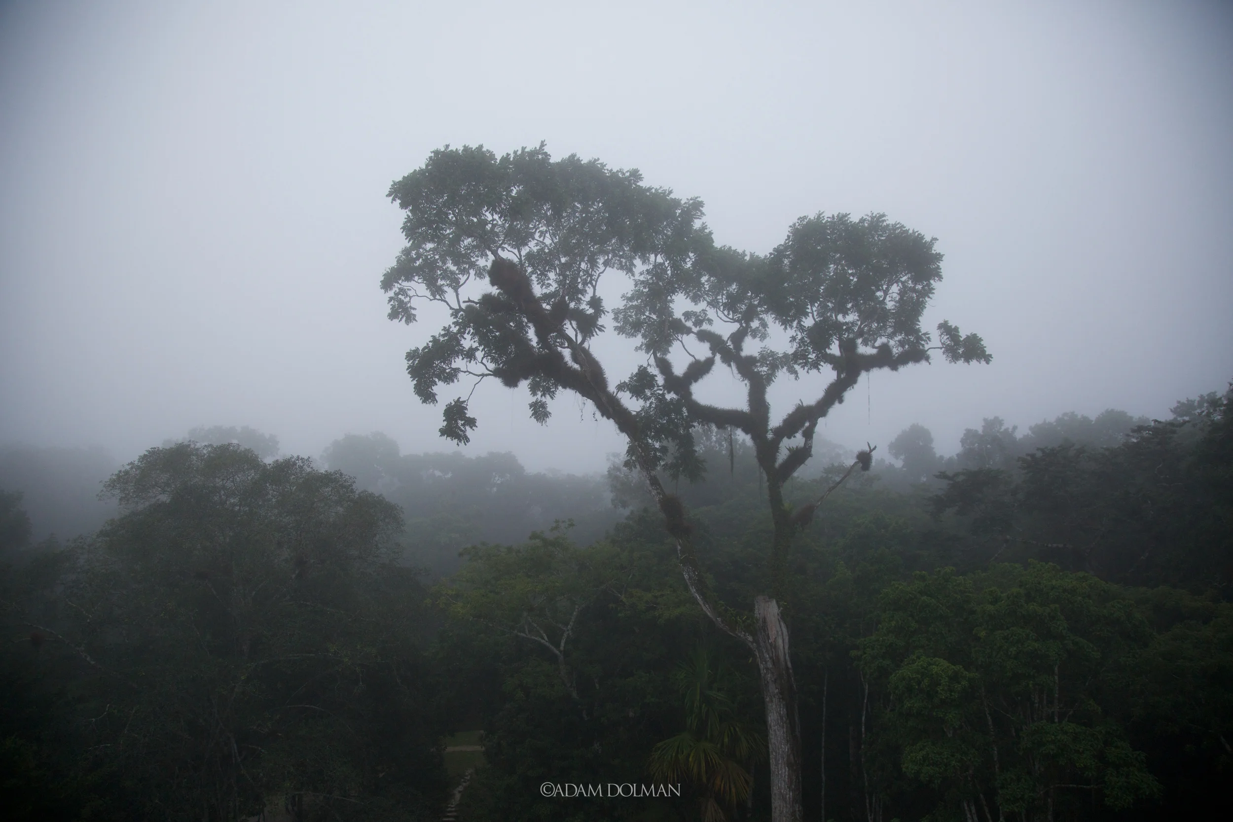 Belize Website-46.jpg