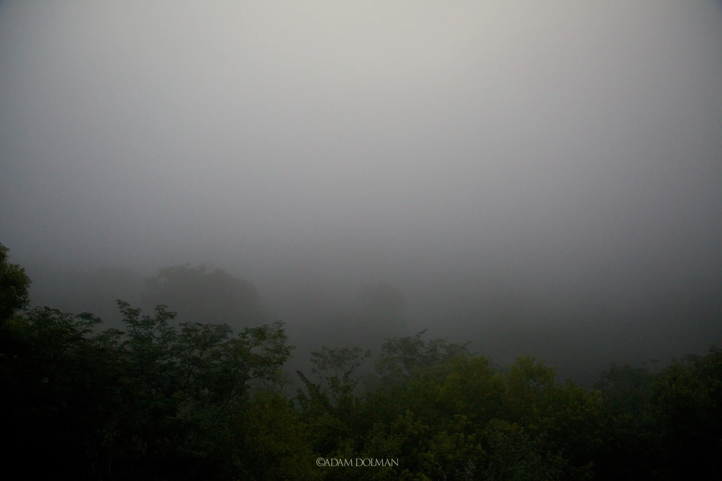 Belize Website-45.jpg