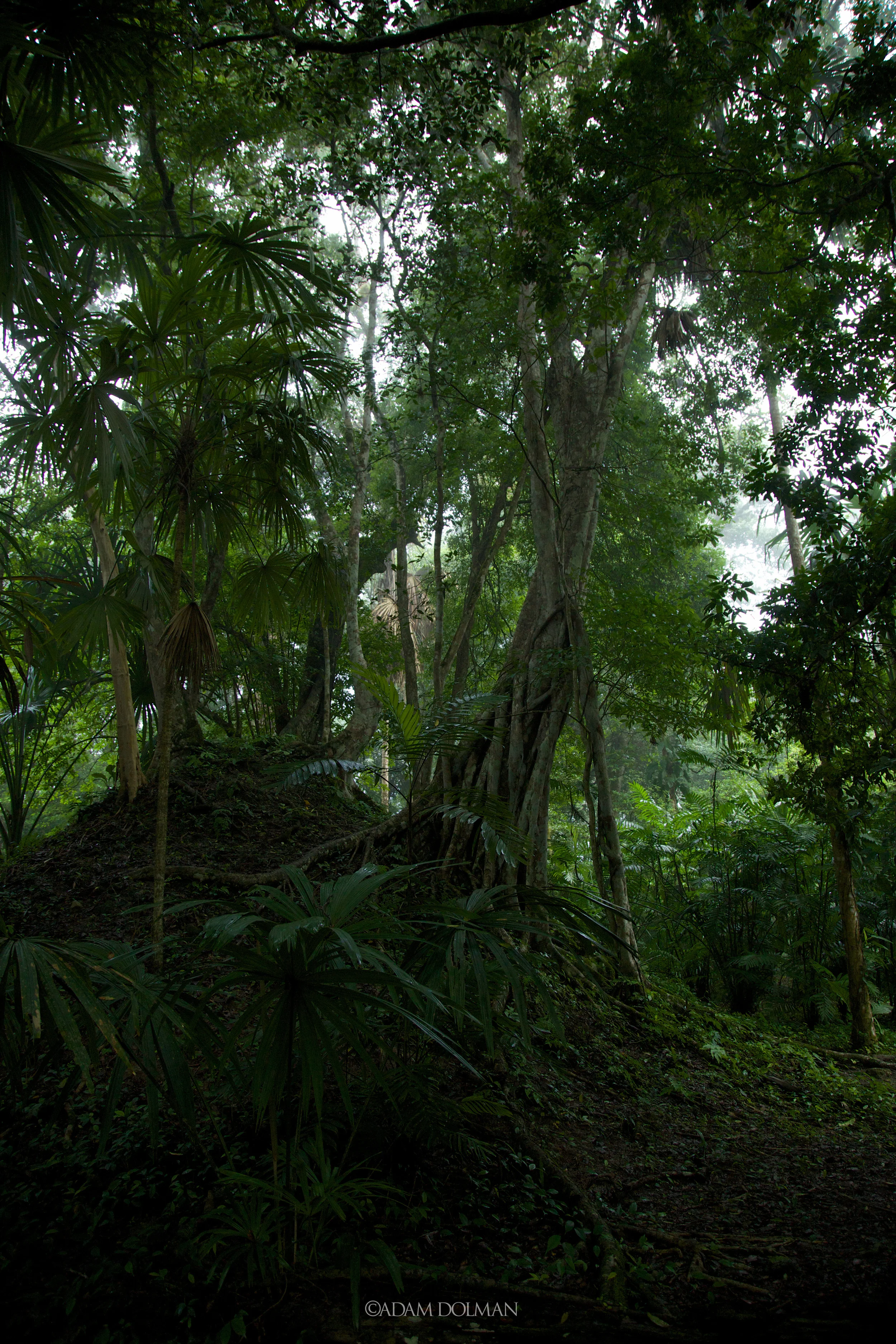 Belize Website-47.jpg