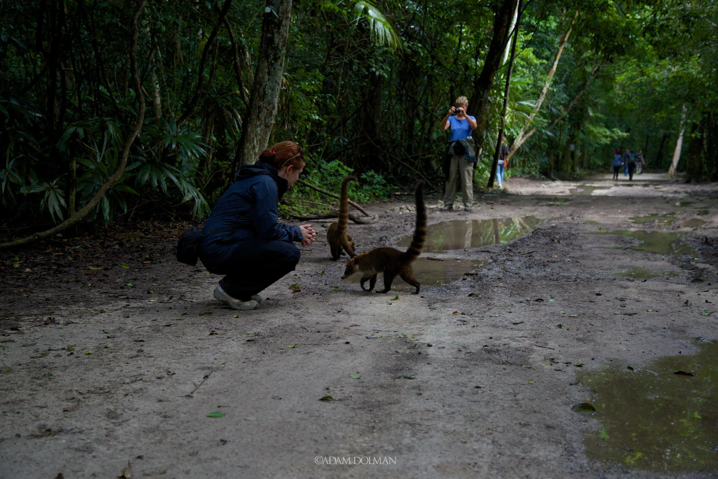 Belize Website-49.jpg