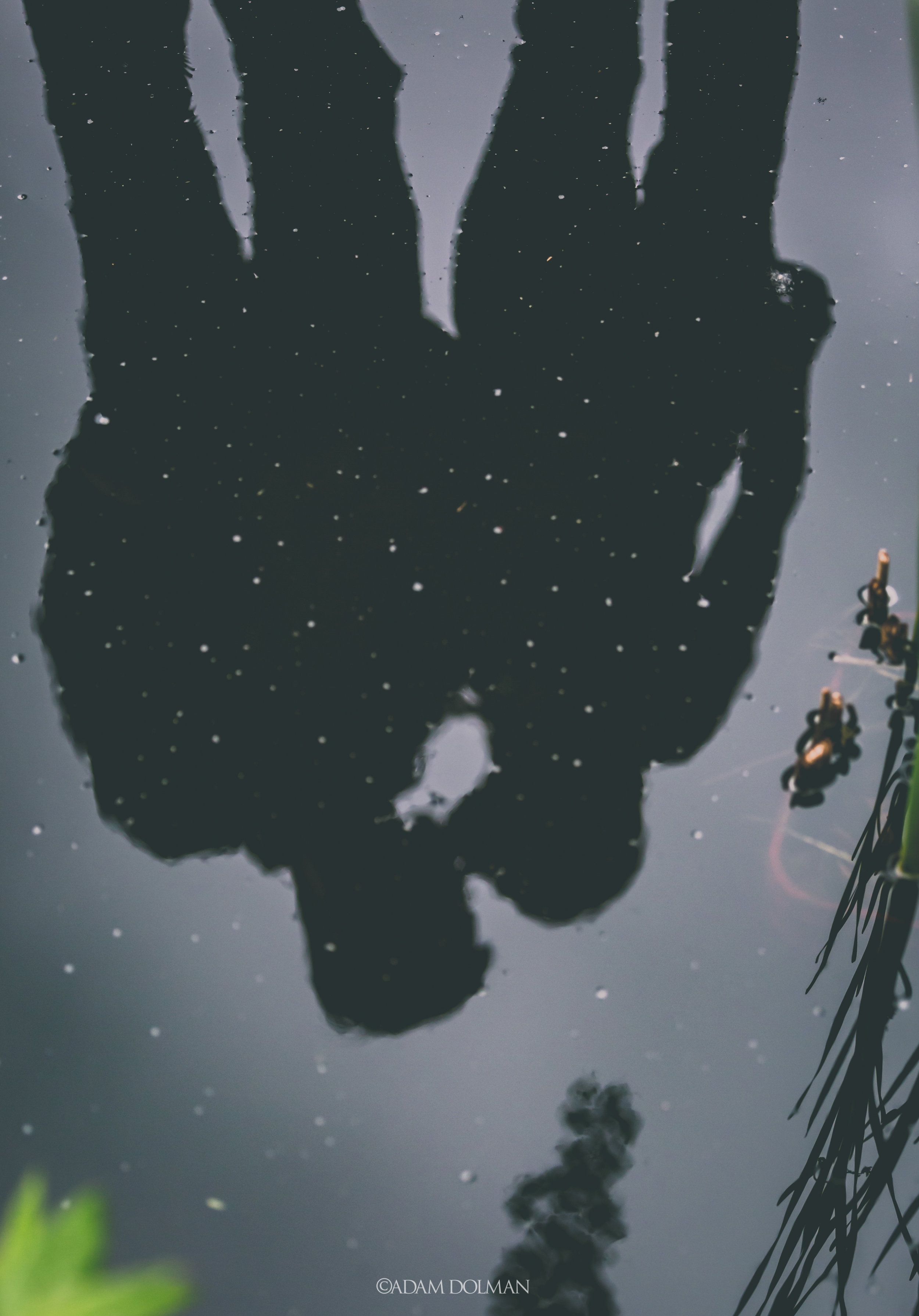 Engagements - Rachell and Younghoon-10.JPG