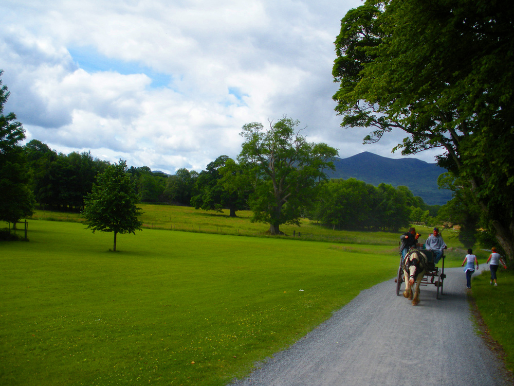 Jaunt Cart