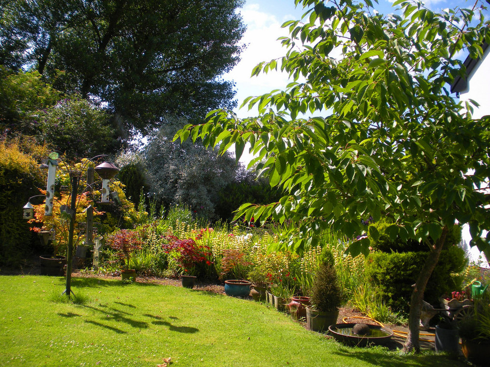 Willow Corner Cottage