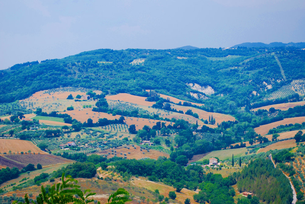 from the top of Assisi.jpg