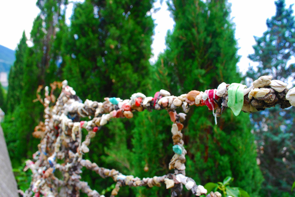 Gum fence in Siena.jpg