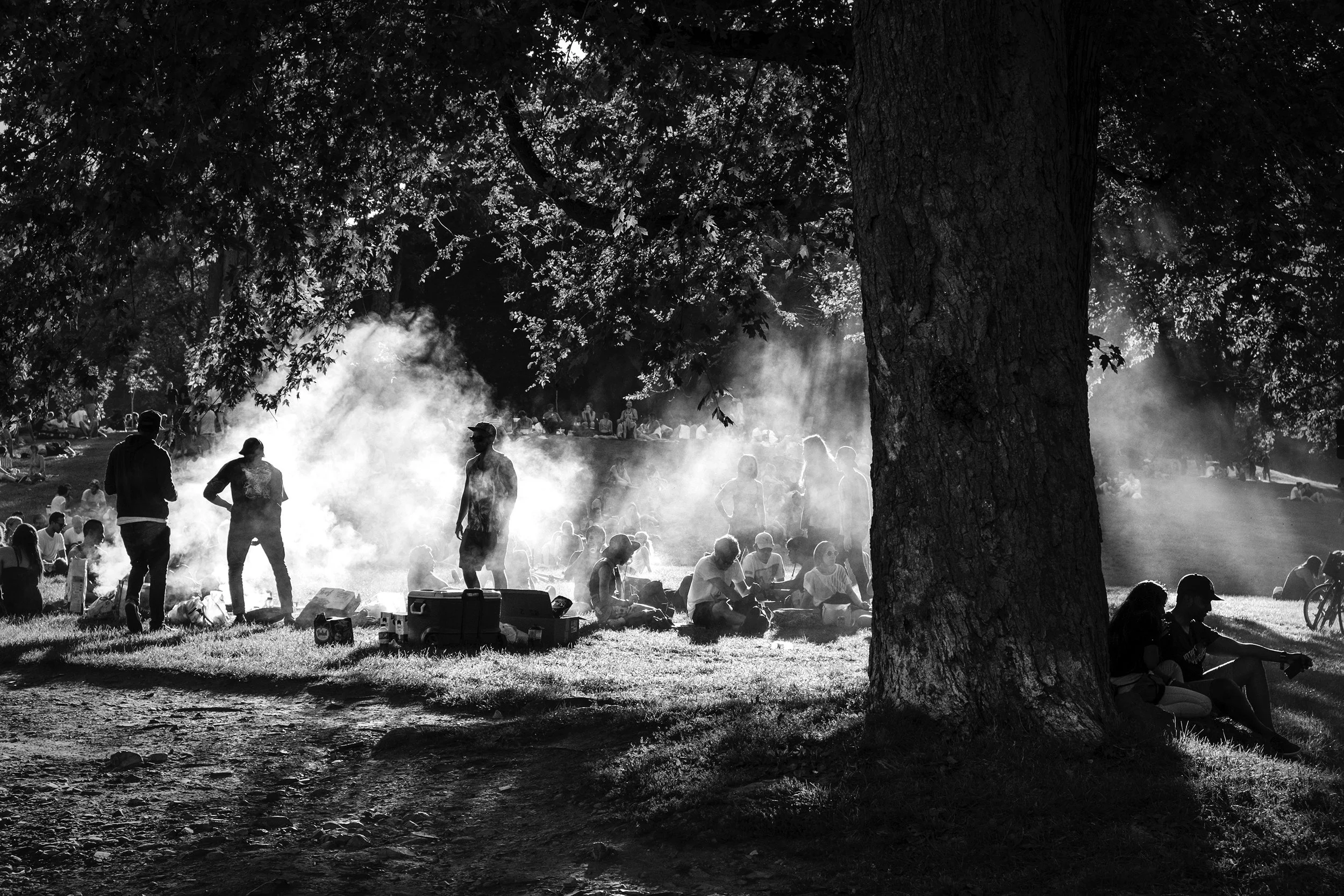 BBQ ine the park.jpg