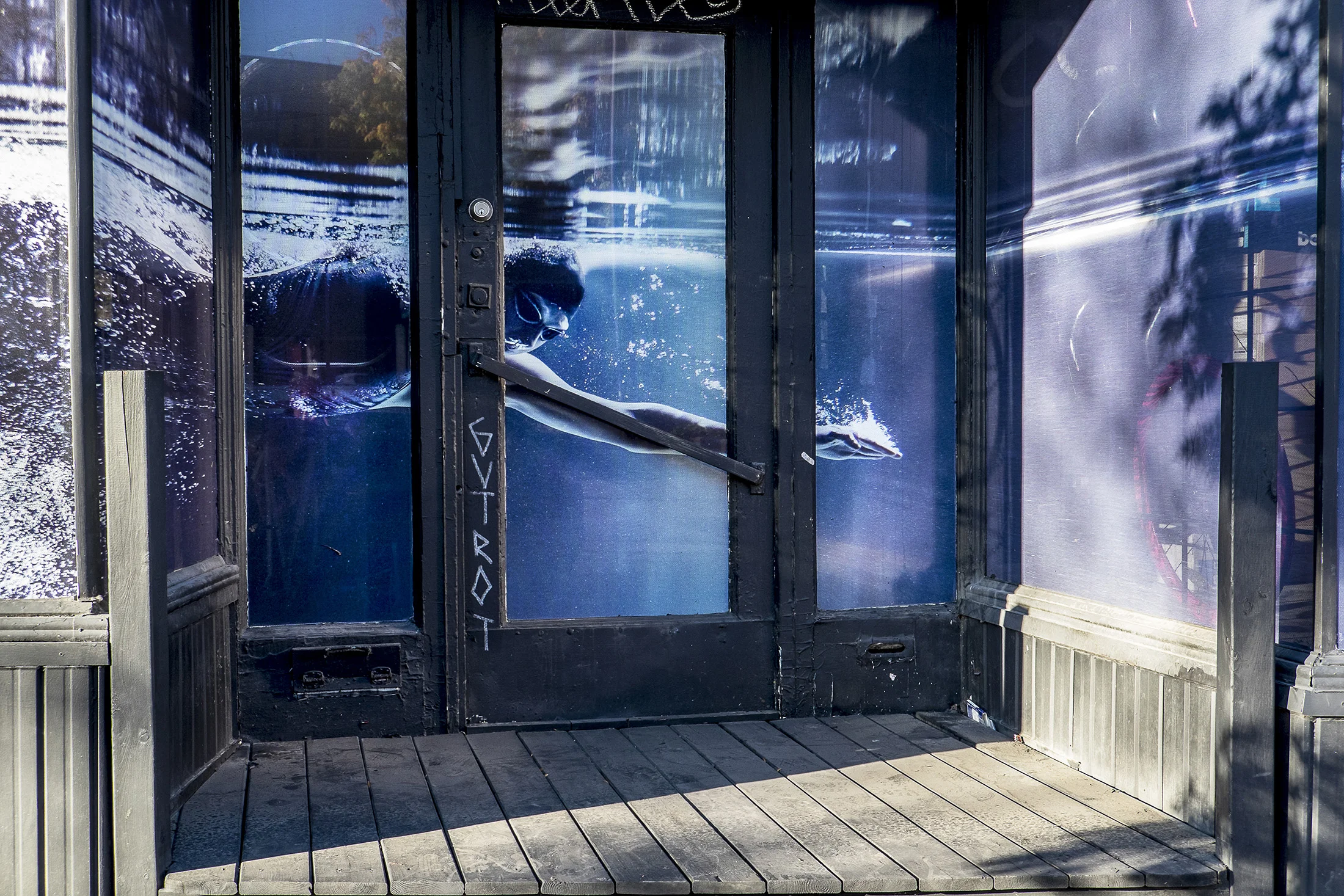 Window Swimmer.jpg