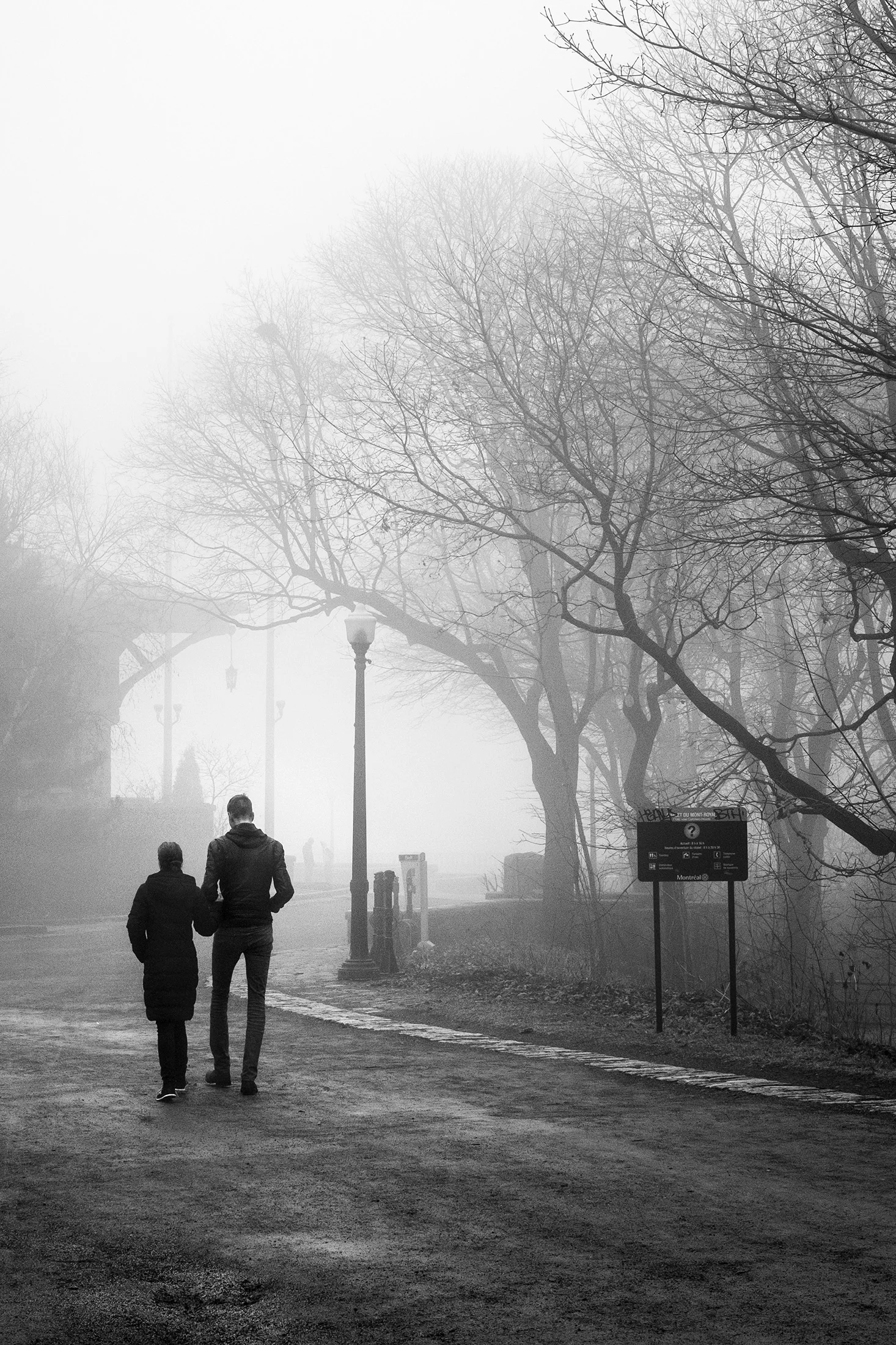 Walking in the fog web.jpg