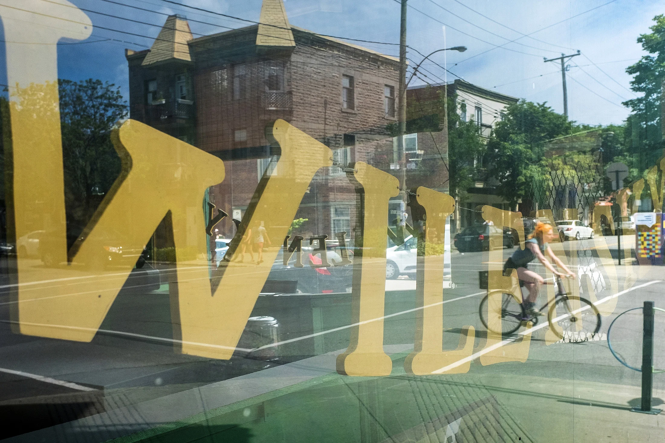 WILENSKY WEB.jpg