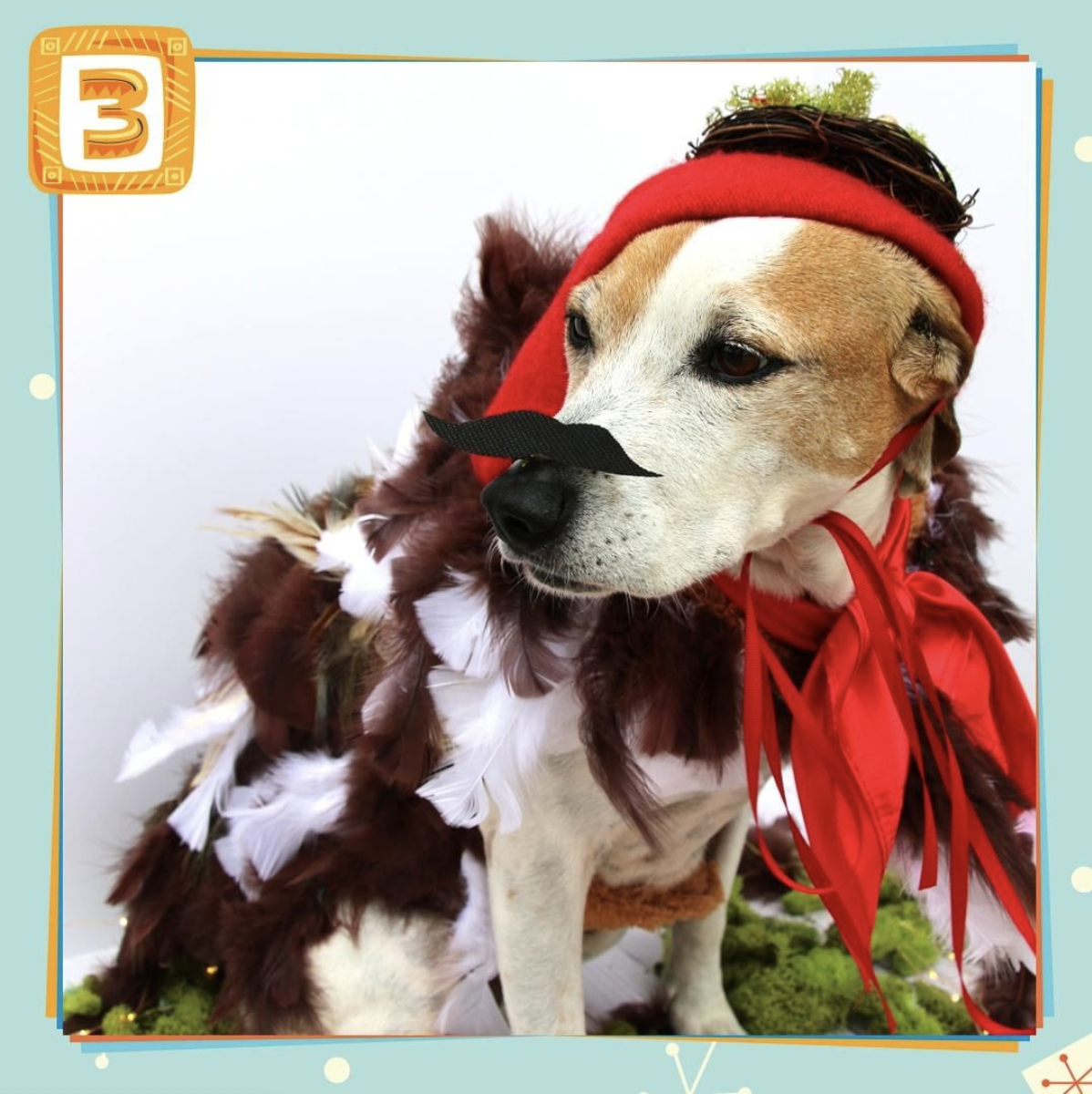 This year, three French hens would set you back $181.50, but you can always make them yourself. Try out this French Hen Dog Costume to get your pup in the holiday spirit! #ChristmasPriceIndex