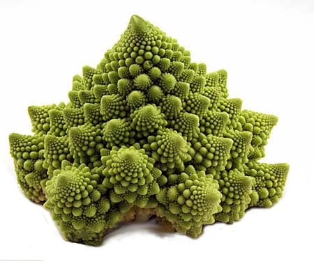 Die fraktale, sich ornamental und mathematisch berechenbare Natur. (Mandelbrot)