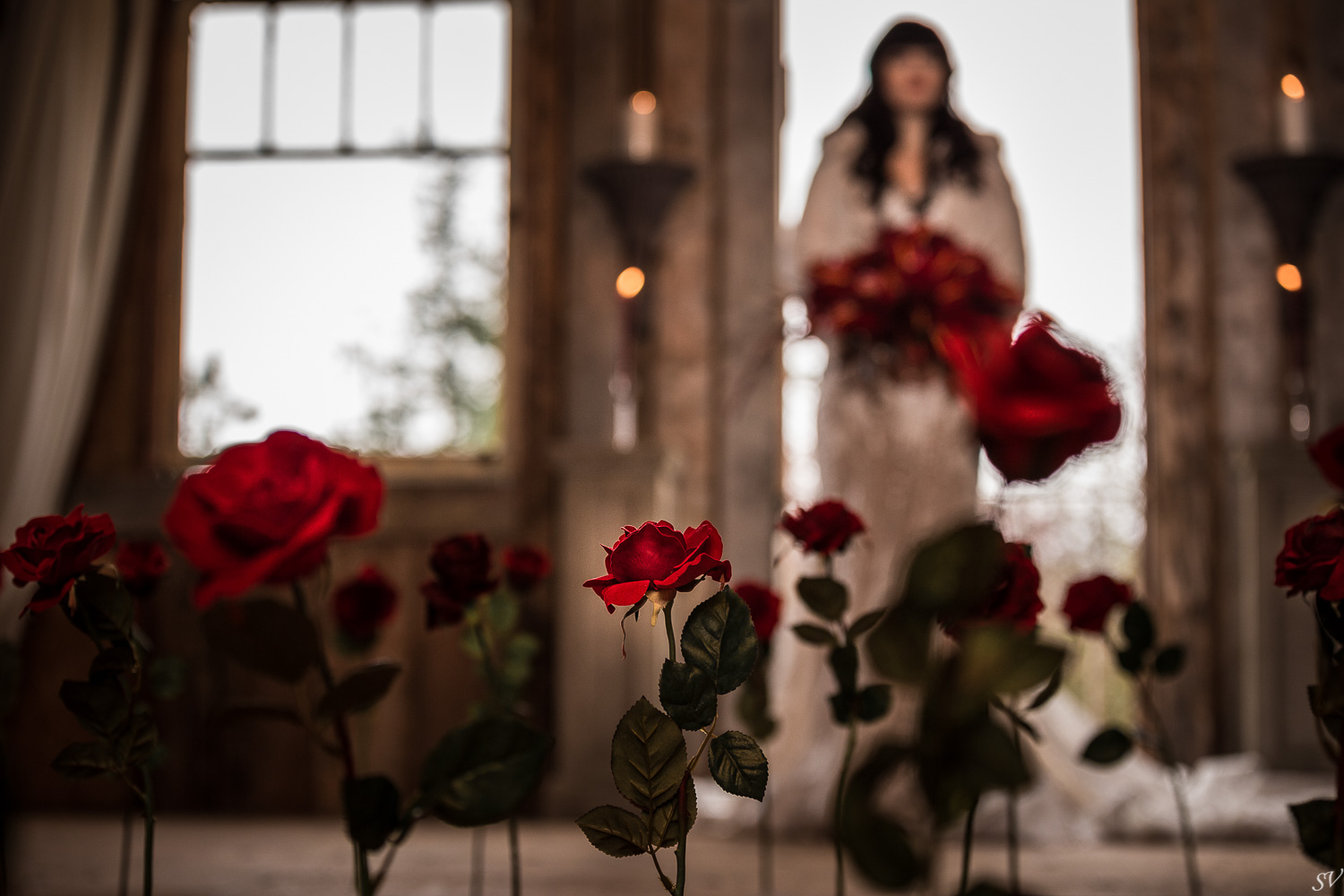 styled shoot- eva-44.jpg