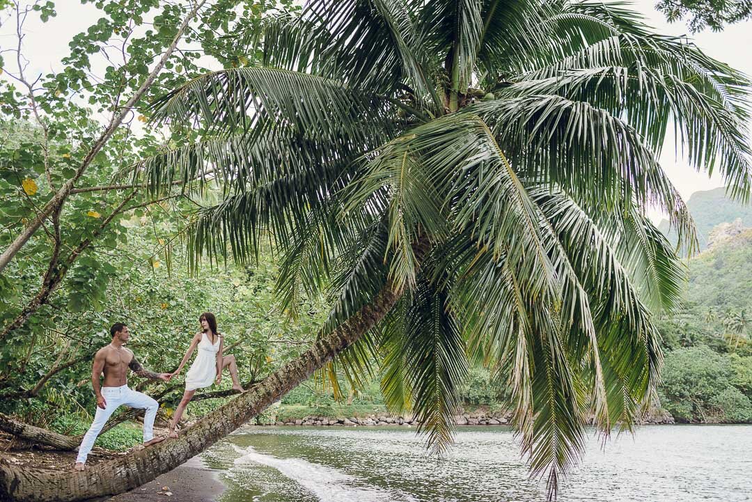 Moorea Photographer coconut tree.