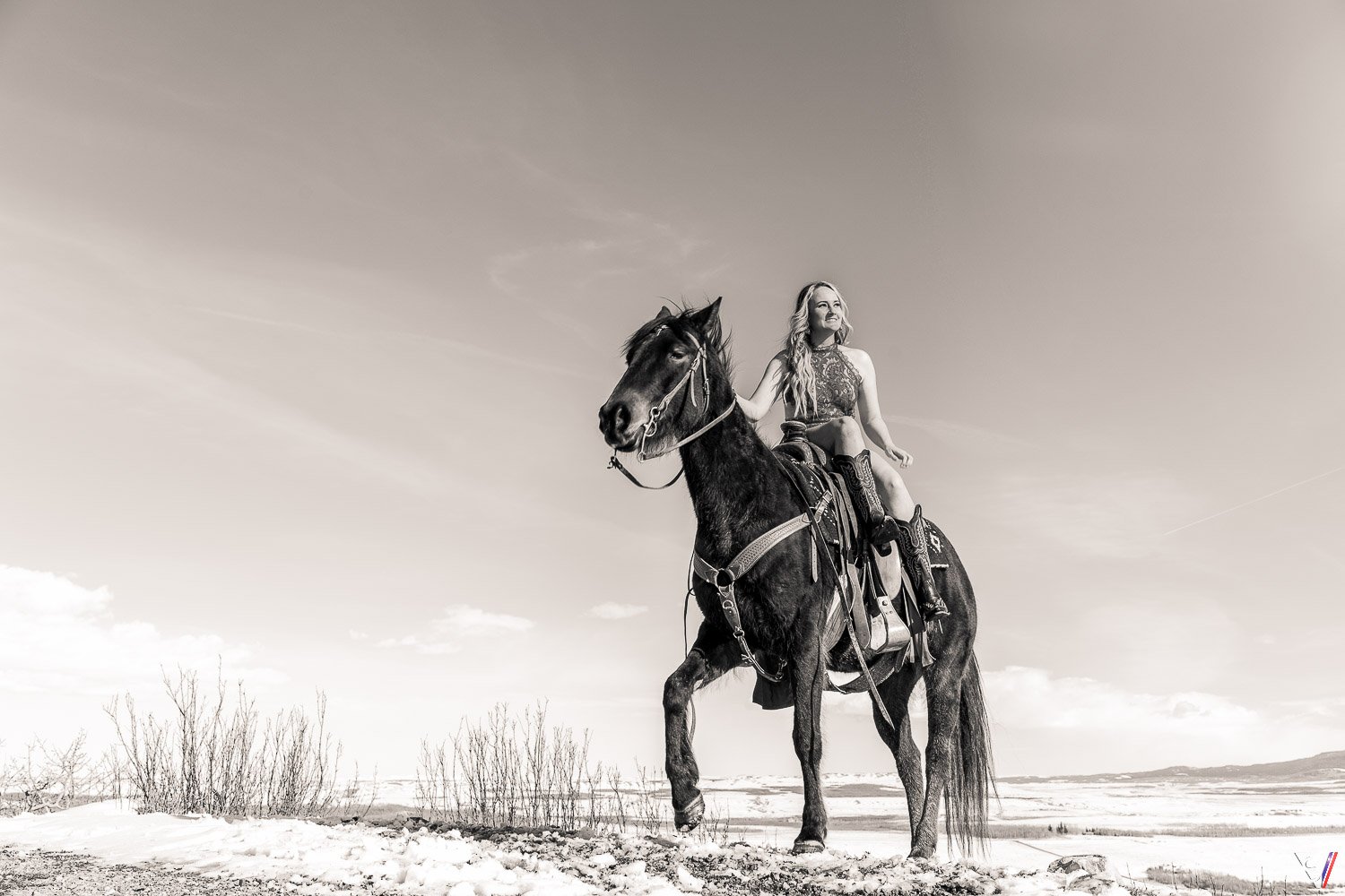 cow girl yellowstone boudoir horse photo session Alberta.jpg