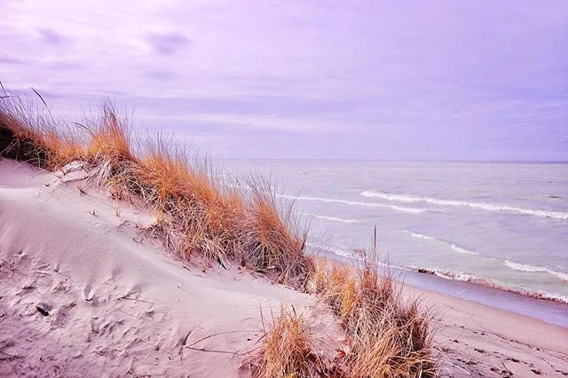 retreat ... βοΈπΎπ
.
.
.
#grandbend #lakehuron #canada #beatsync #acappella #beatsyncmusic #vocals #electrovocal #electroacappella #leica #leicam #leicam240 #leicalphotography π· @ni.fos
