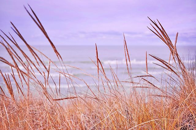 retreat ... ☀️🌾🌊
.
.
.
#grandbend #lakehuron #canada #beatsync #acappella #beatsyncmusic #vocals #electrovocal #electroacappella #leica #leicam #leicam240 #leicalphotography 📷 @ni.fos