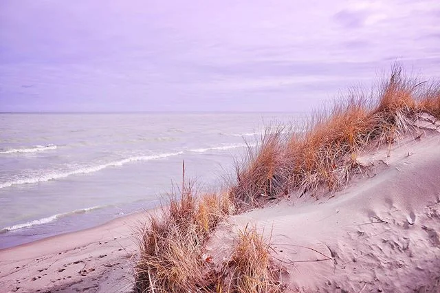 retreat ... βοΈπΎπ
.
.
.
#grandbend #lakehuron #canada #beatsync #acappella #beatsyncmusic #vocals #electrovocal #electroacappella #leica #leicam #leicam240 #leicalphotography π· @ni.fos