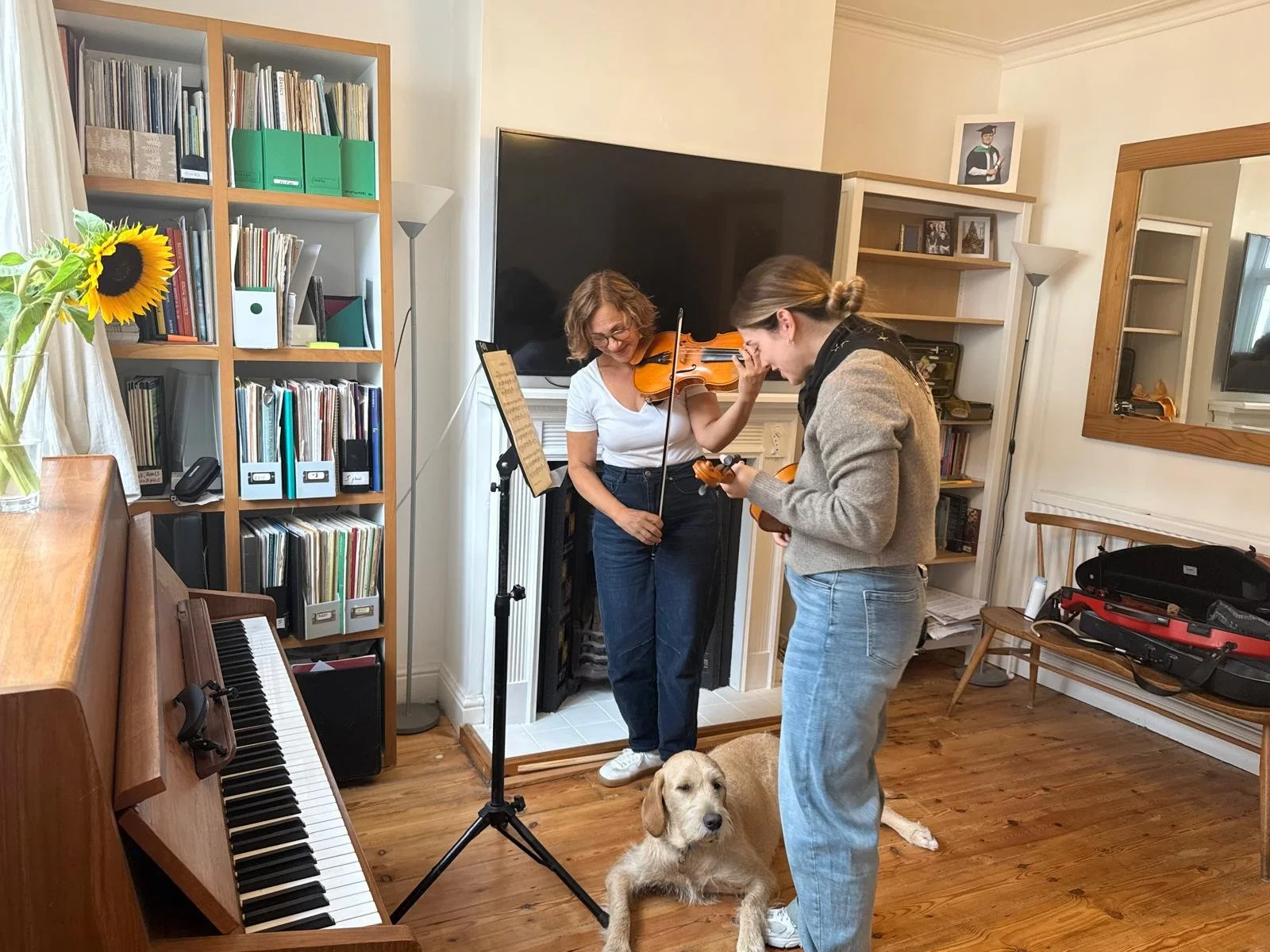 Violin Lessons in Norwich